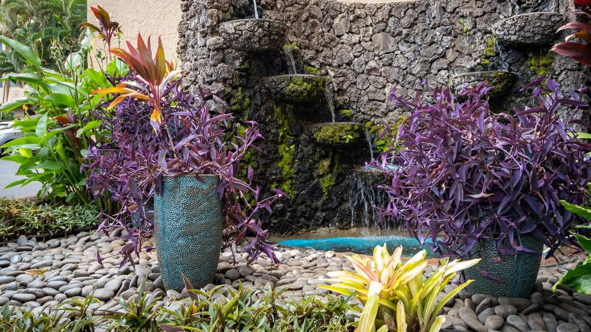 2 Bedroom 2 Bath Luxury Oceanfront Vistas Kihei