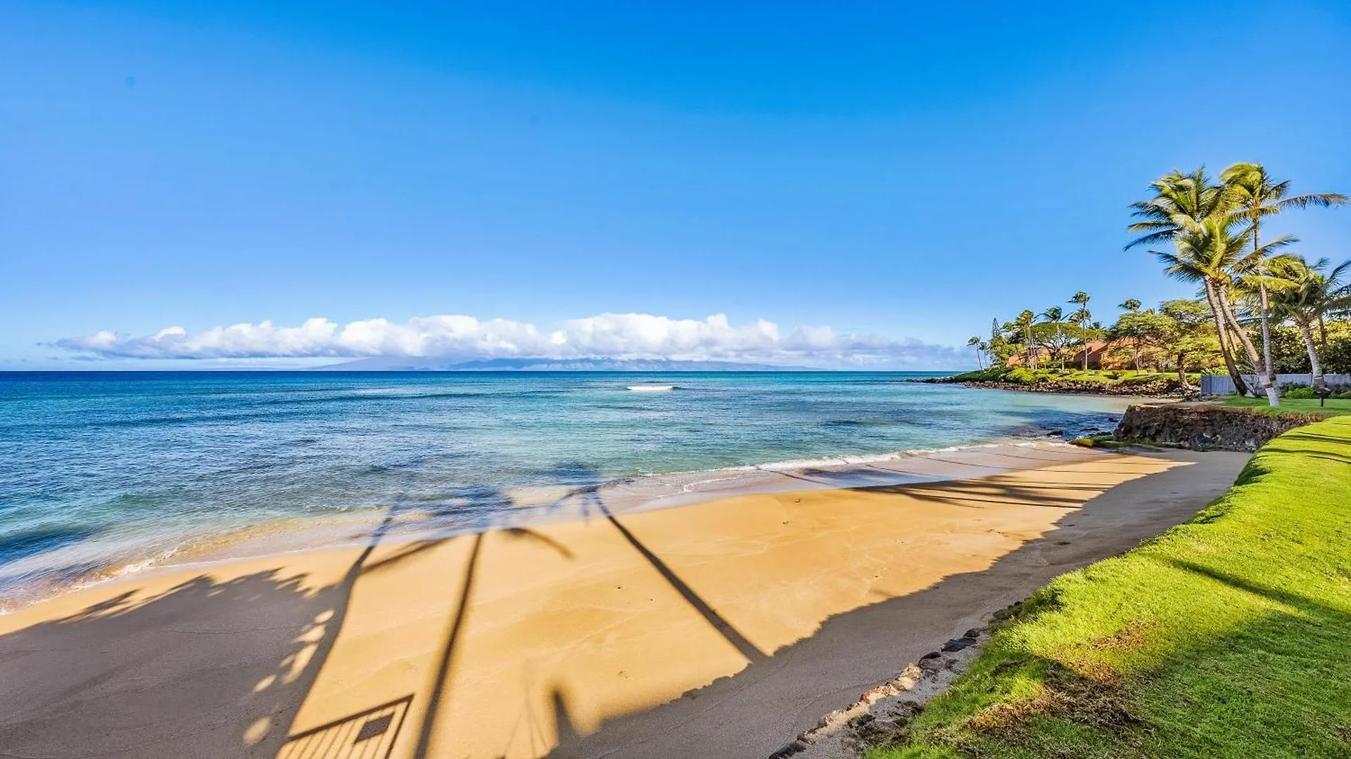 Hale Mahina A202