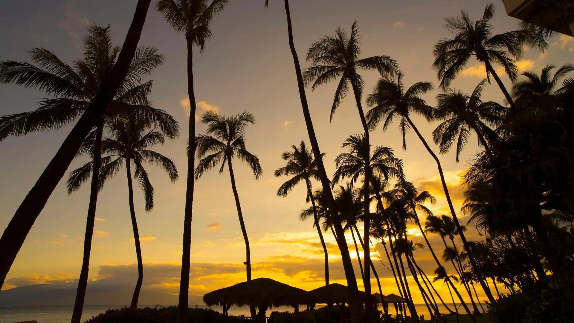 Hyatt Vacation Club At Ka'anapali Resort