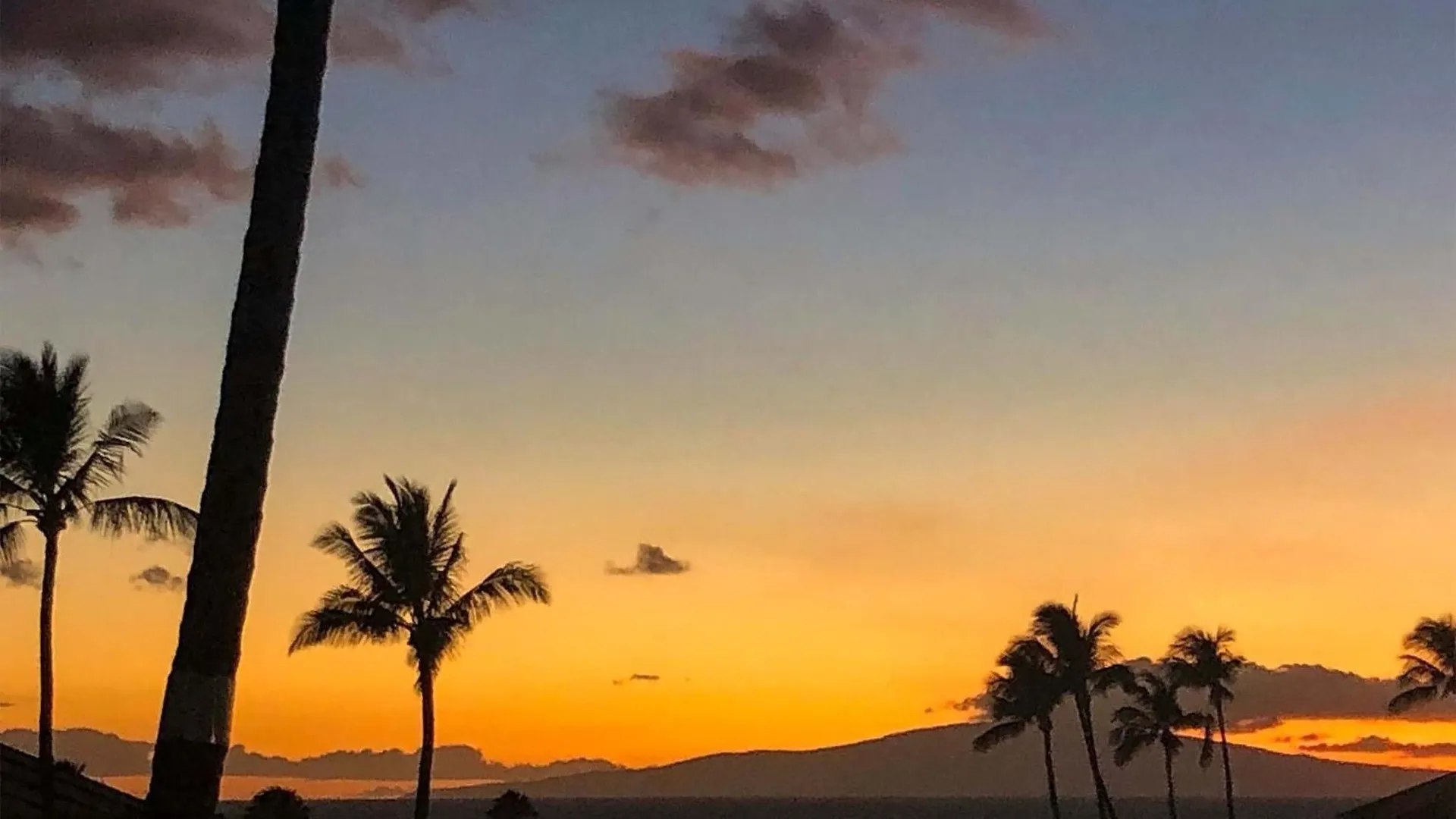 Hale Kamaole 150, Beautiful Renovation, Split Ac Holiday home *