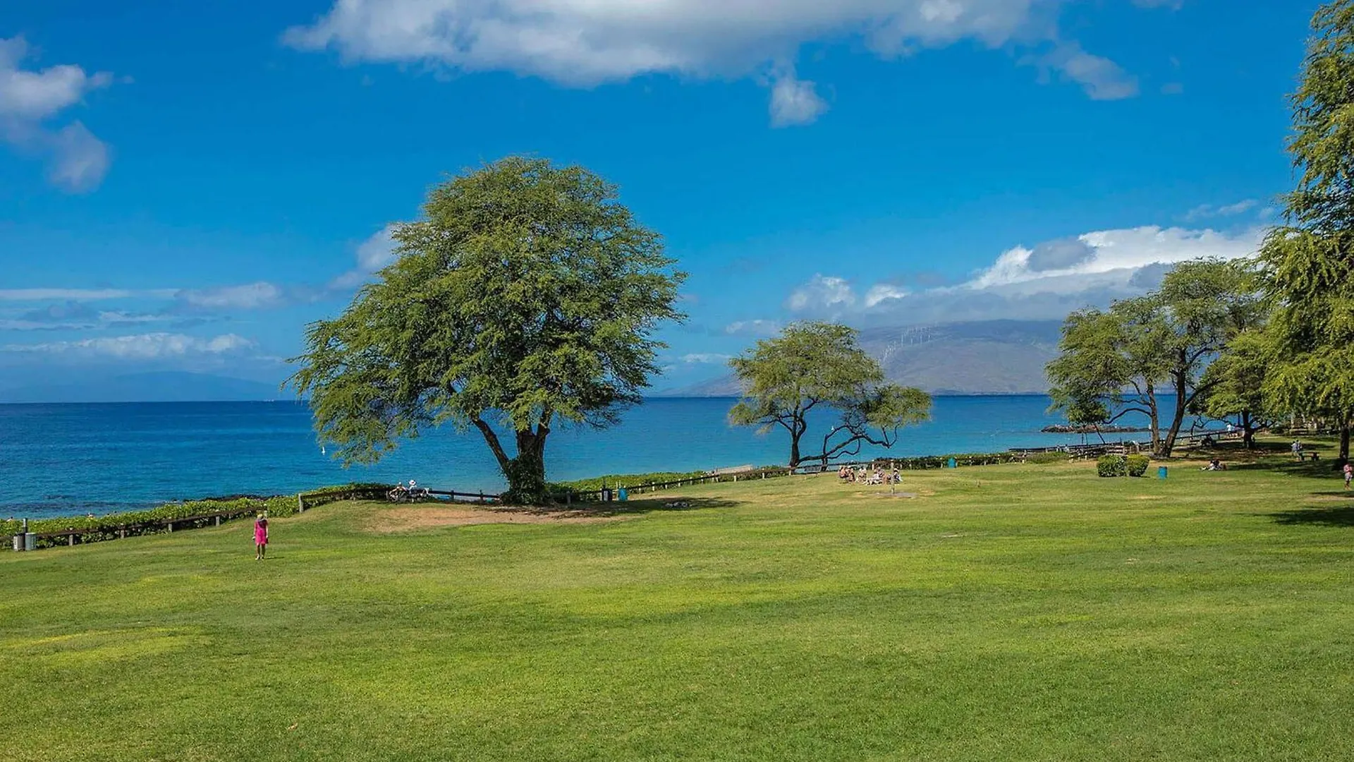Hale Kamaole 150, Beautiful Renovation, Split Ac Holiday home *