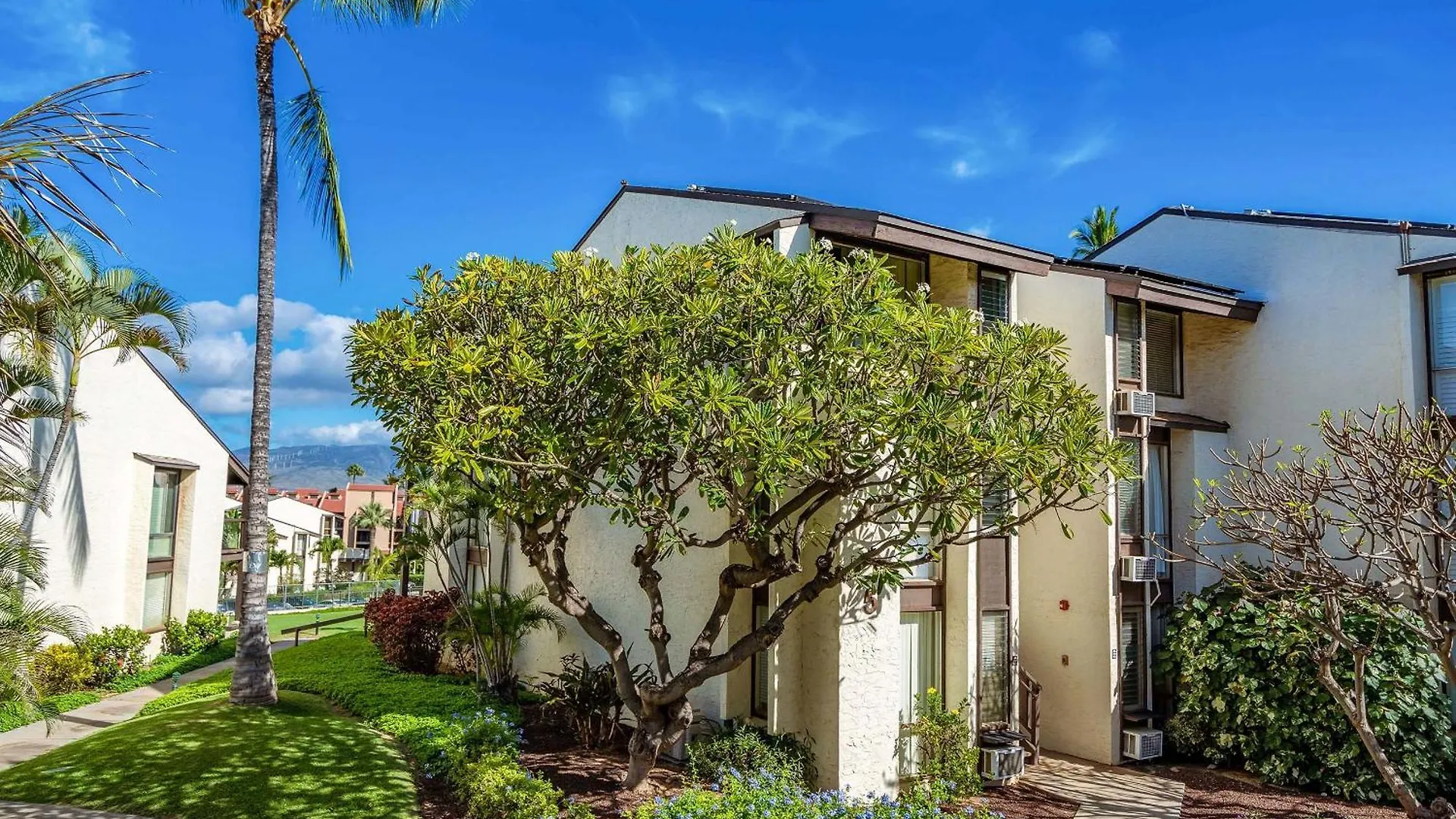 Hale Kamaole 150, Beautiful Renovation, Split Ac