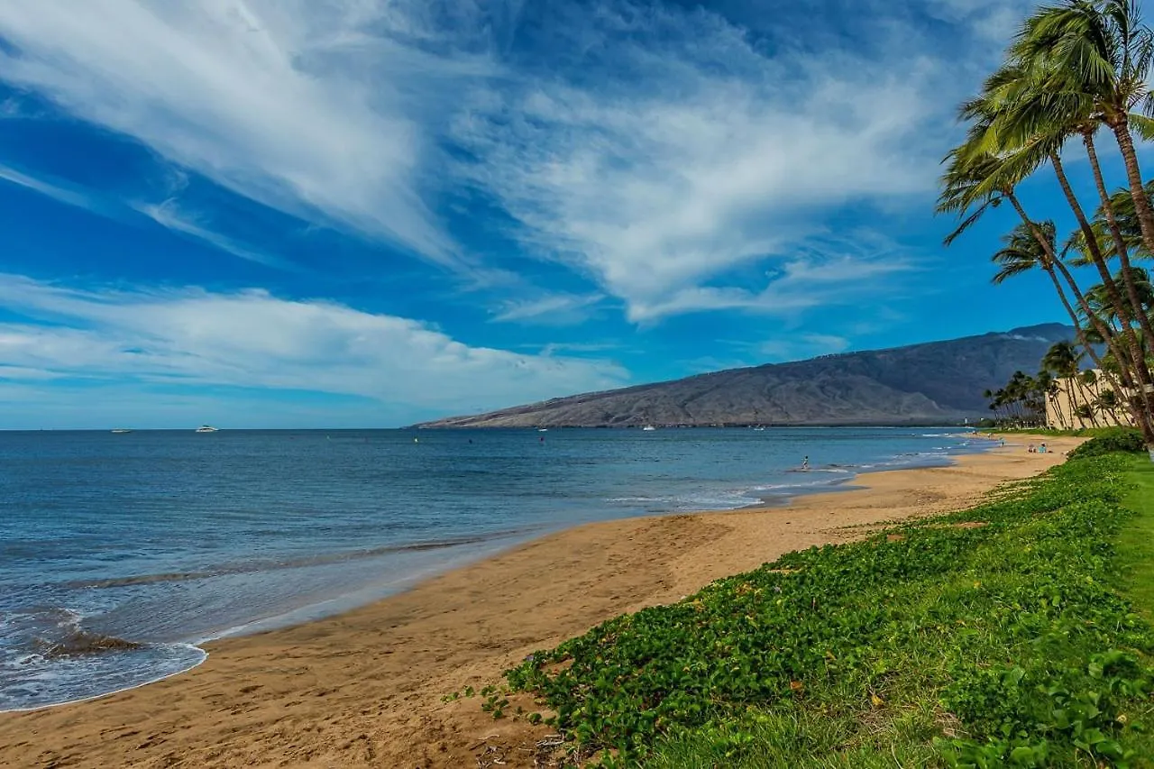 Apartment Maalaea Surf G8 *