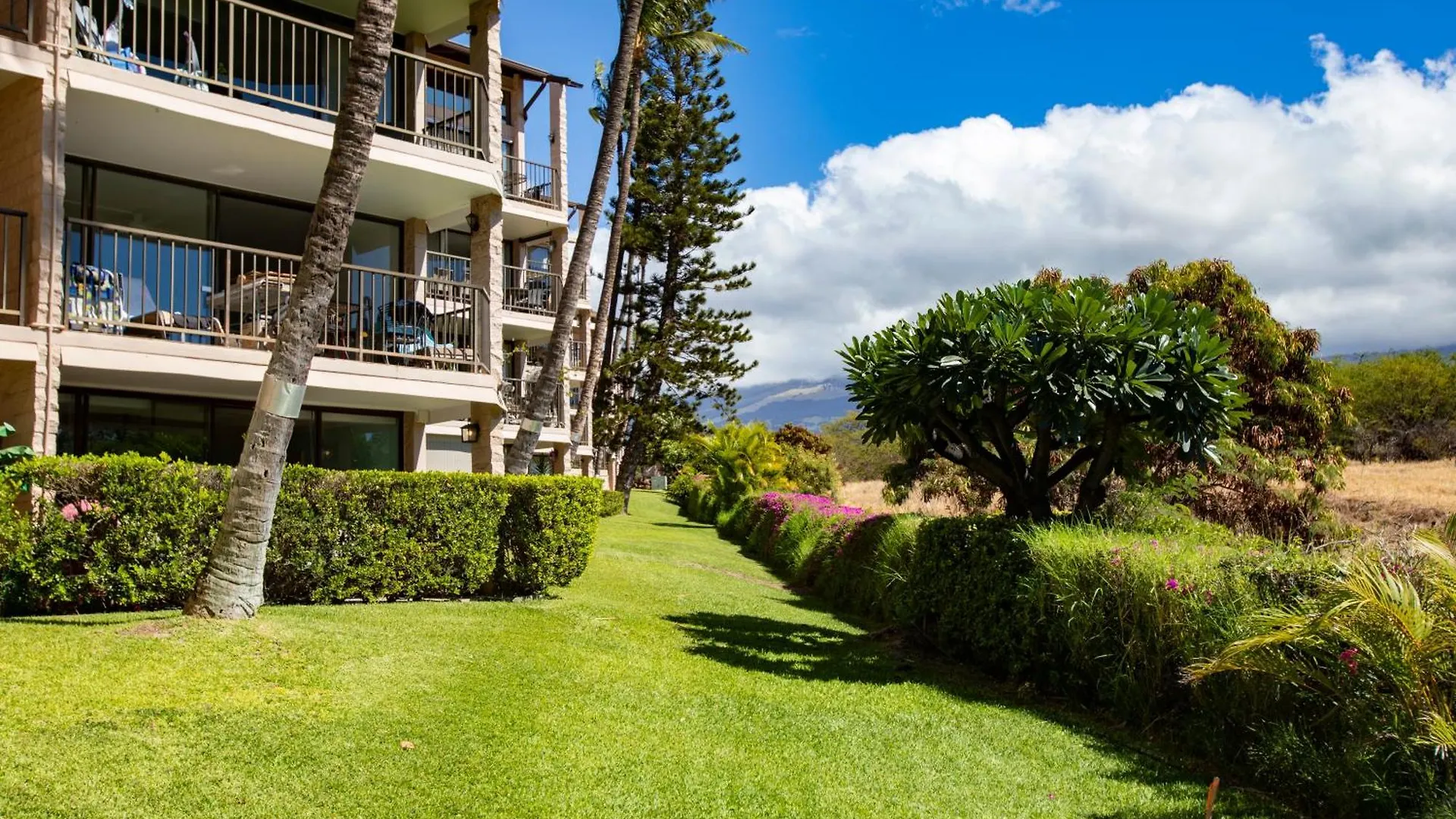Charming Loft 2br With Free Parking & Near Beach! * Kihei