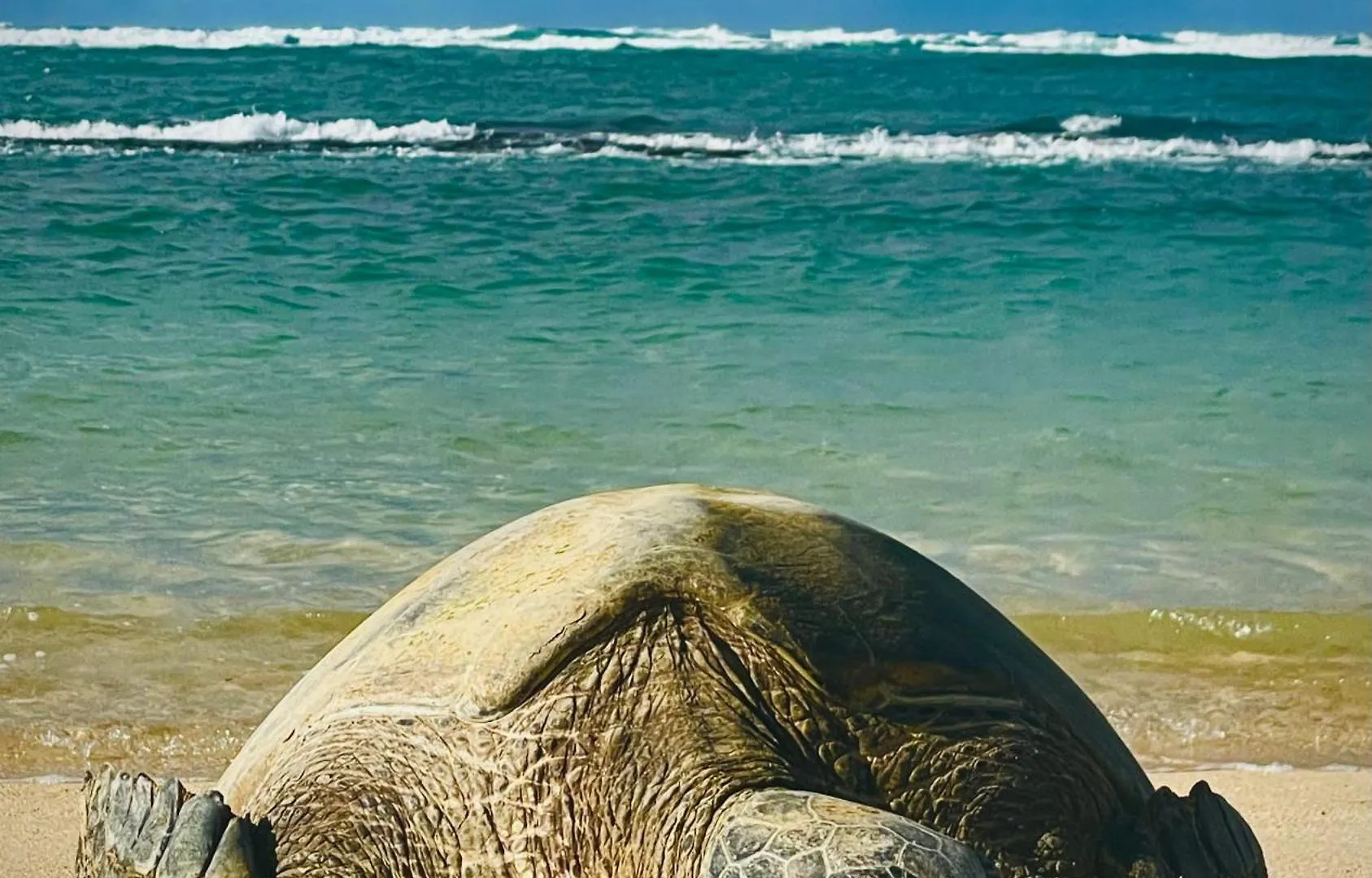 Роскошный шатер Embark On A Journey Through Maui With Aloha Glamp's Jeep And Rooftop Tent Allows To Discover Diverse Campgrounds, Unveiling The Island's Beauty From Unique Perspectives Each Day Haiku