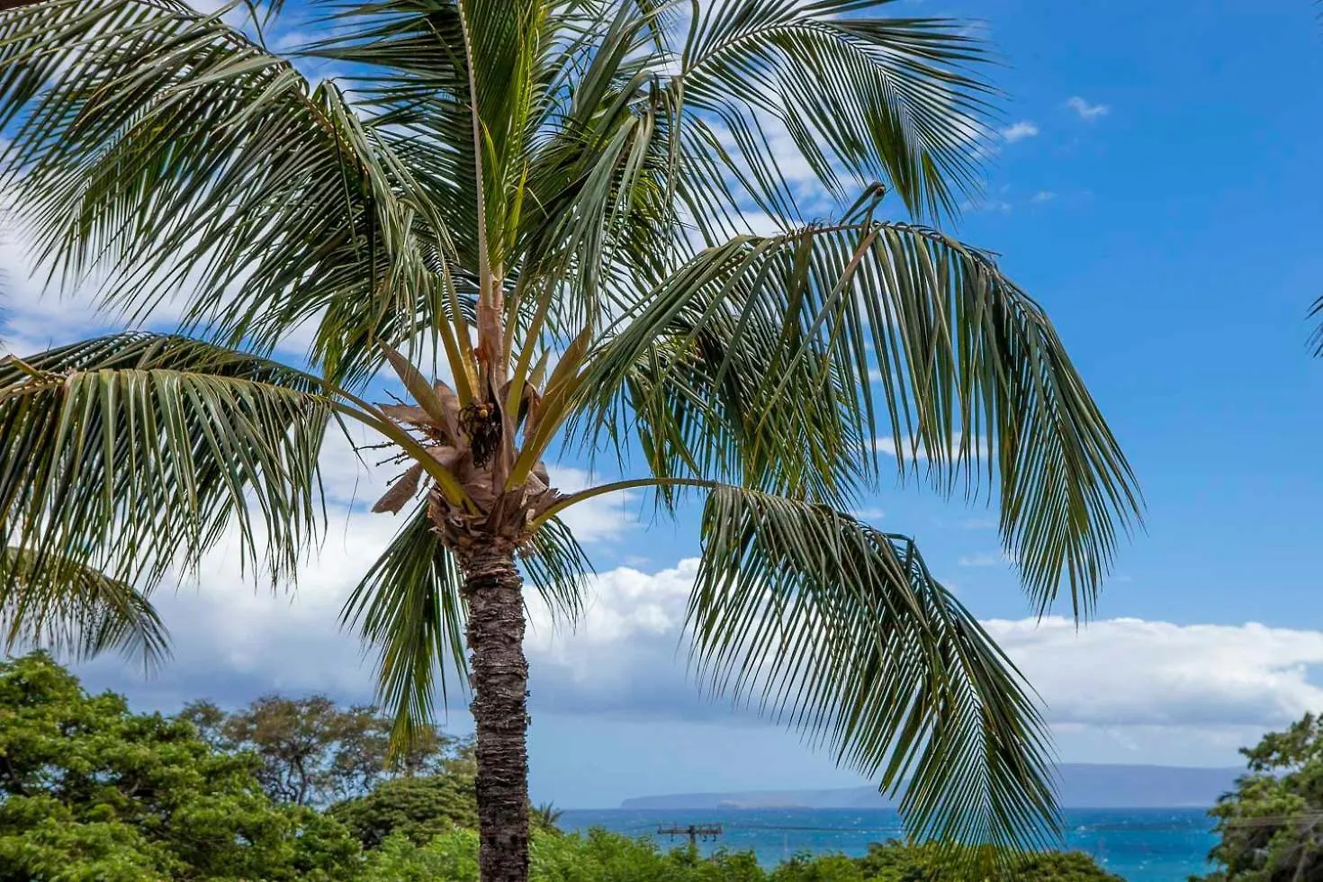 Maui Vista 1323 - Mch * Kihei