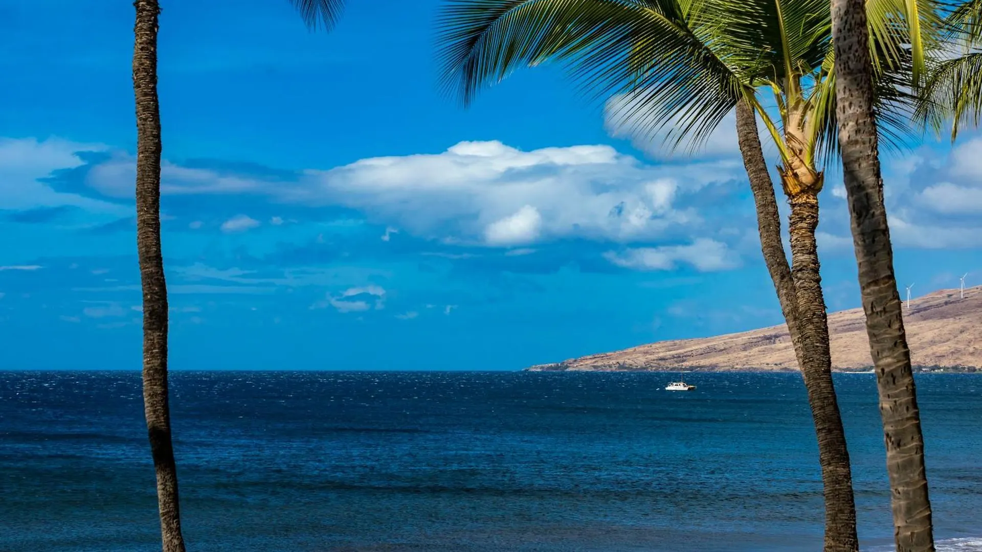 Sugar 334 - Mch Holiday home Kihei