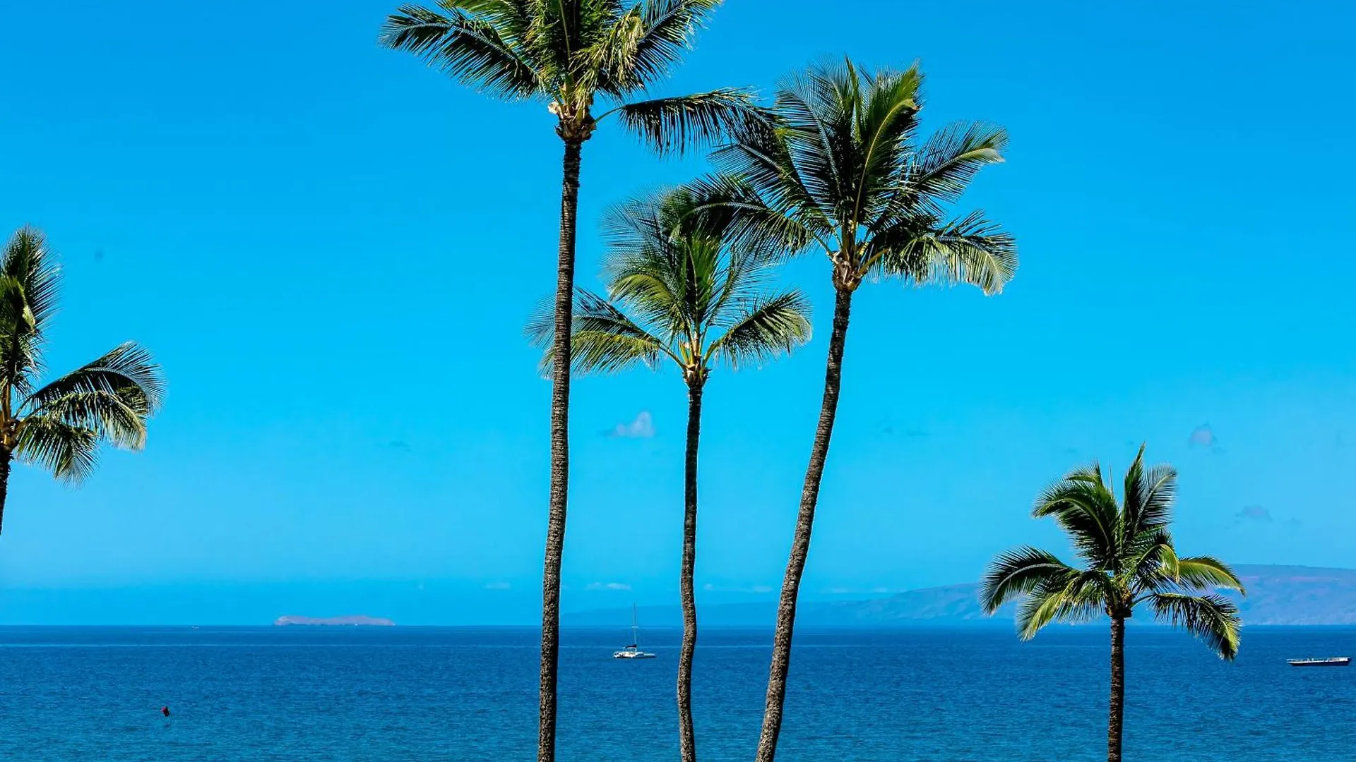 Holiday home Sugar 301 - Mch Kihei