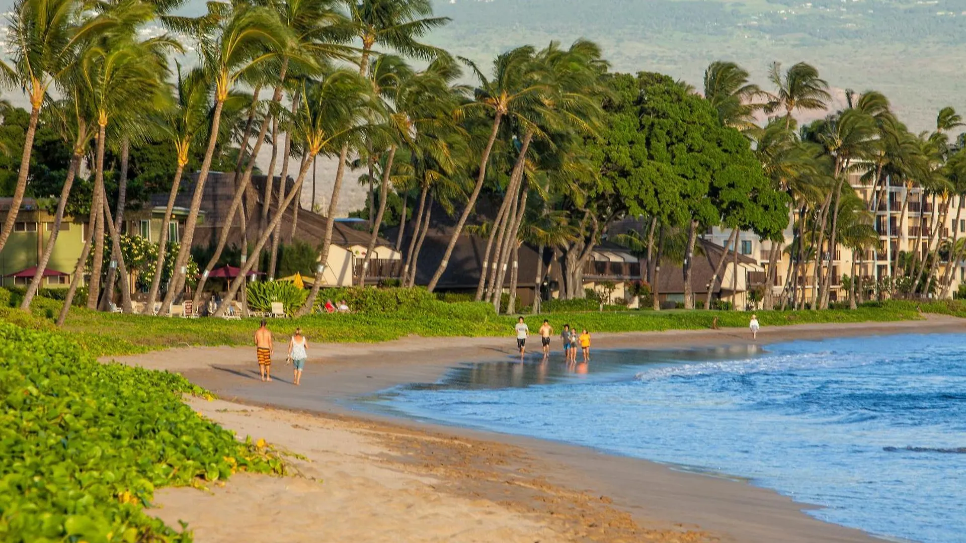 Sugar 133 - Mch Holiday home Kihei