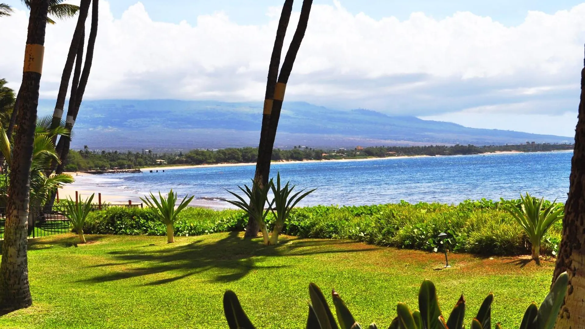 Sugar 132 - Mch * Kihei