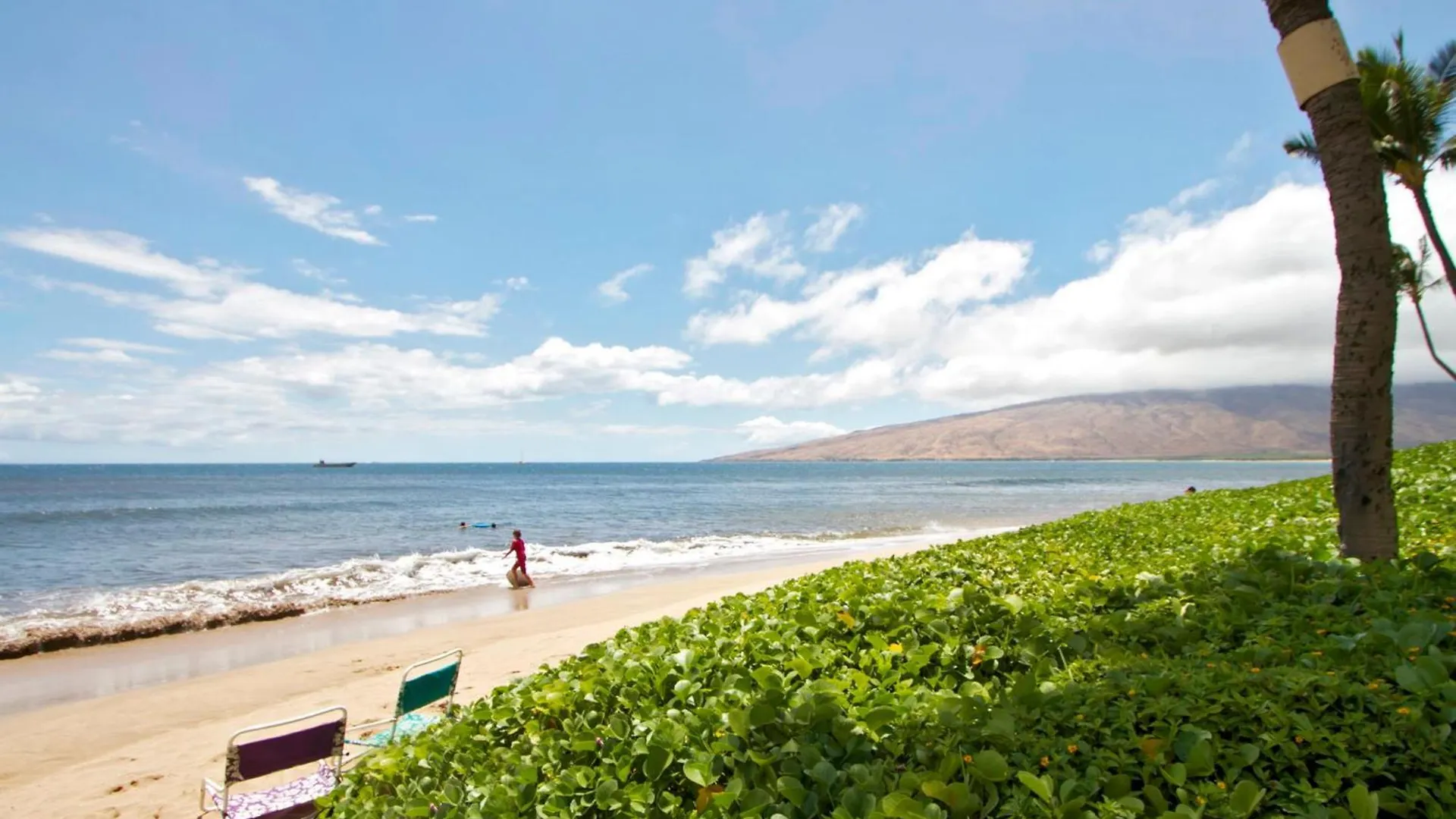 Sugar 124 - Mch Kihei