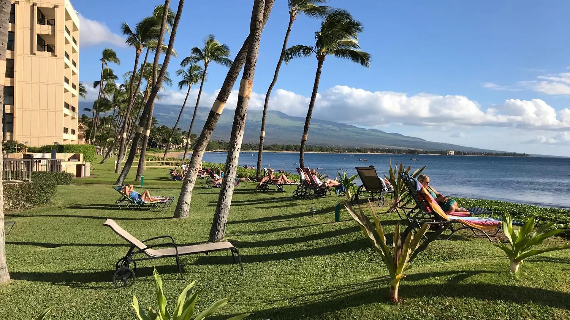 Sugar 120 - Mch * Kihei