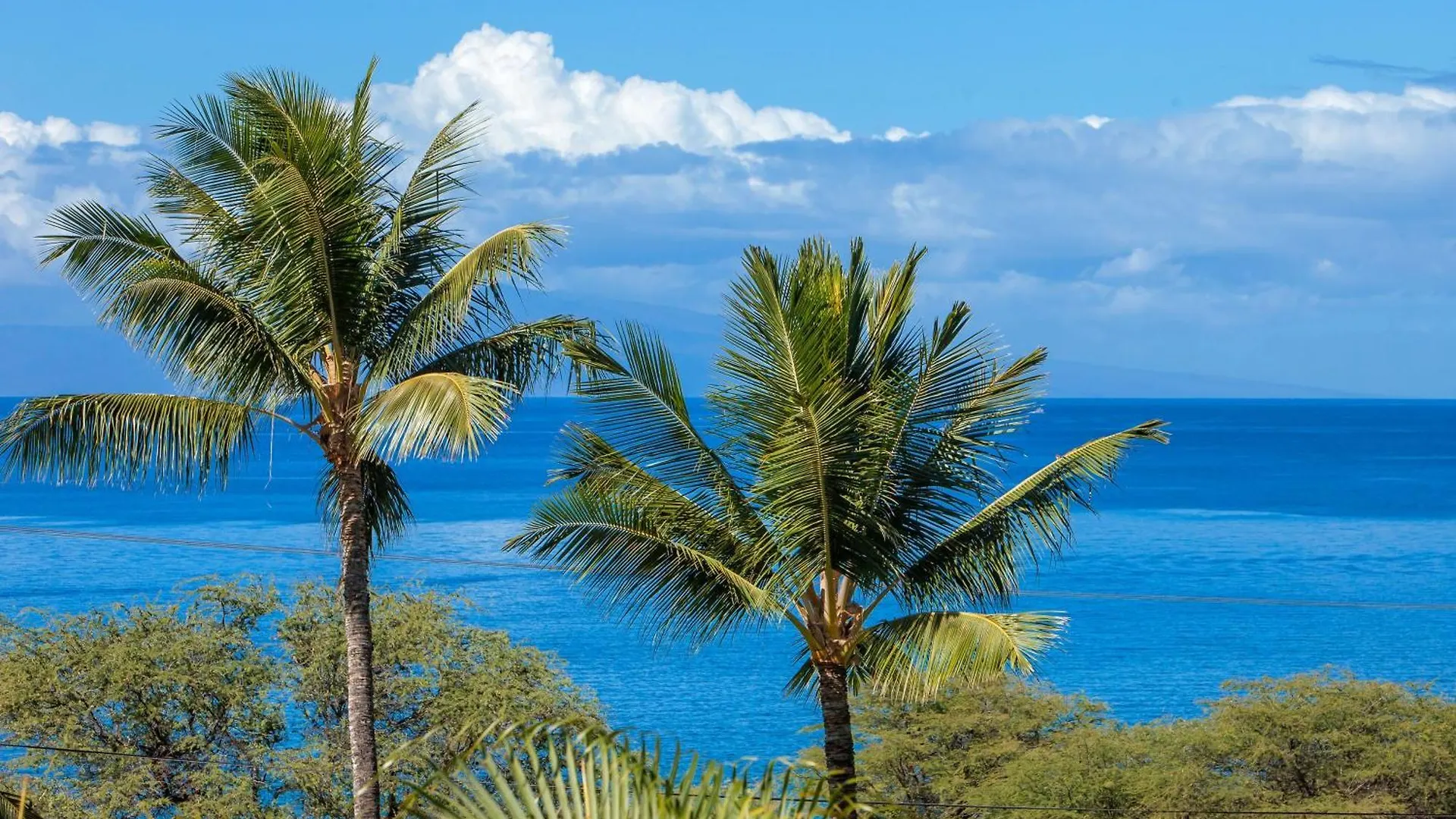 Maui Kamaole J214 - Mch