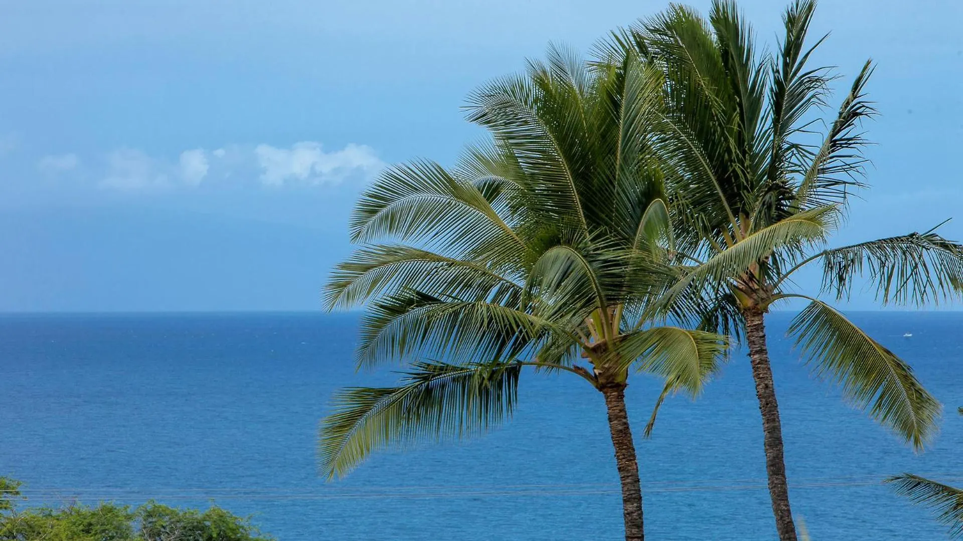 Maui Kamaole H201 - Mch Holiday home Kihei