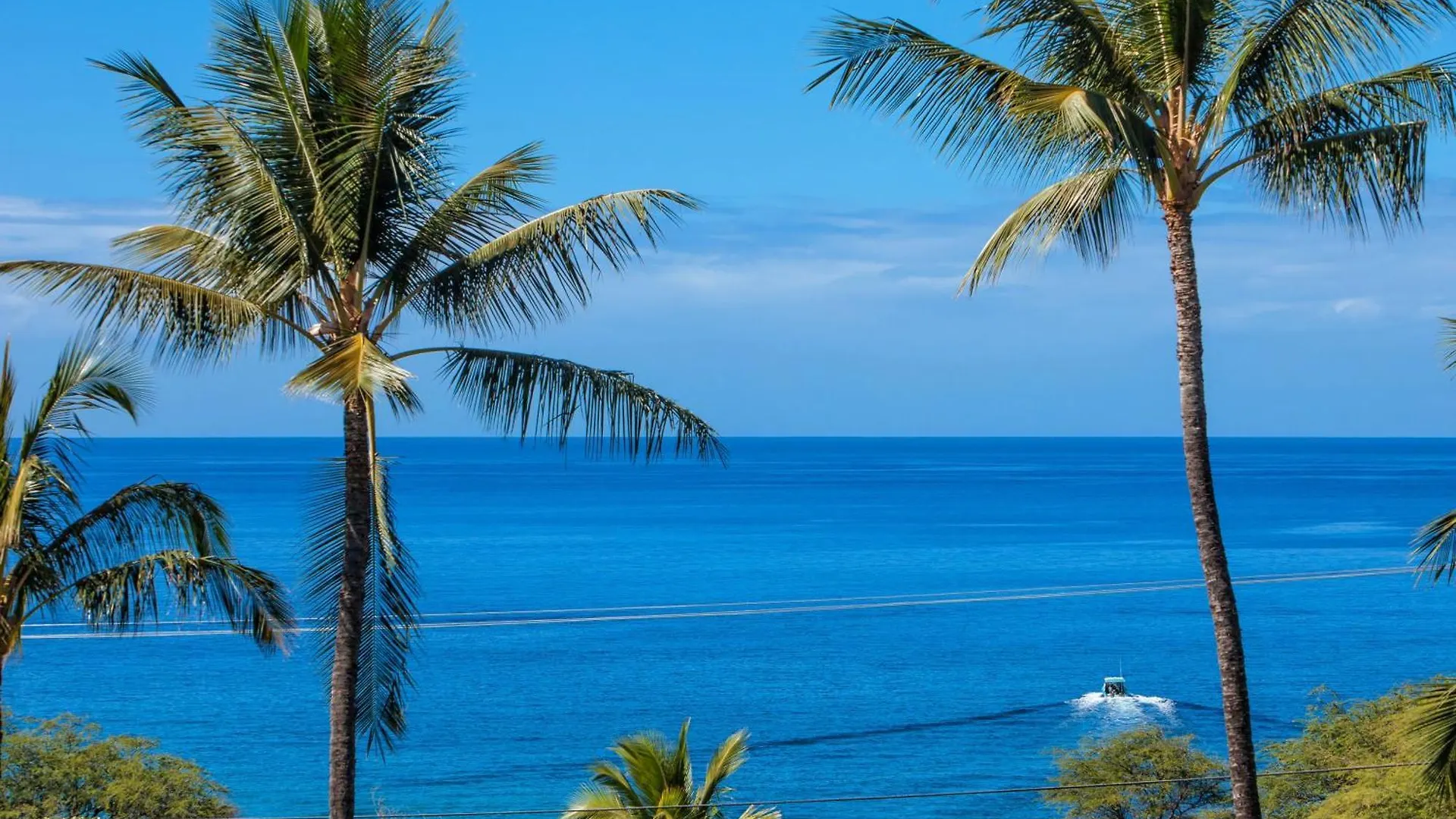 Maui Kamaole D211 - Mch * Kihei