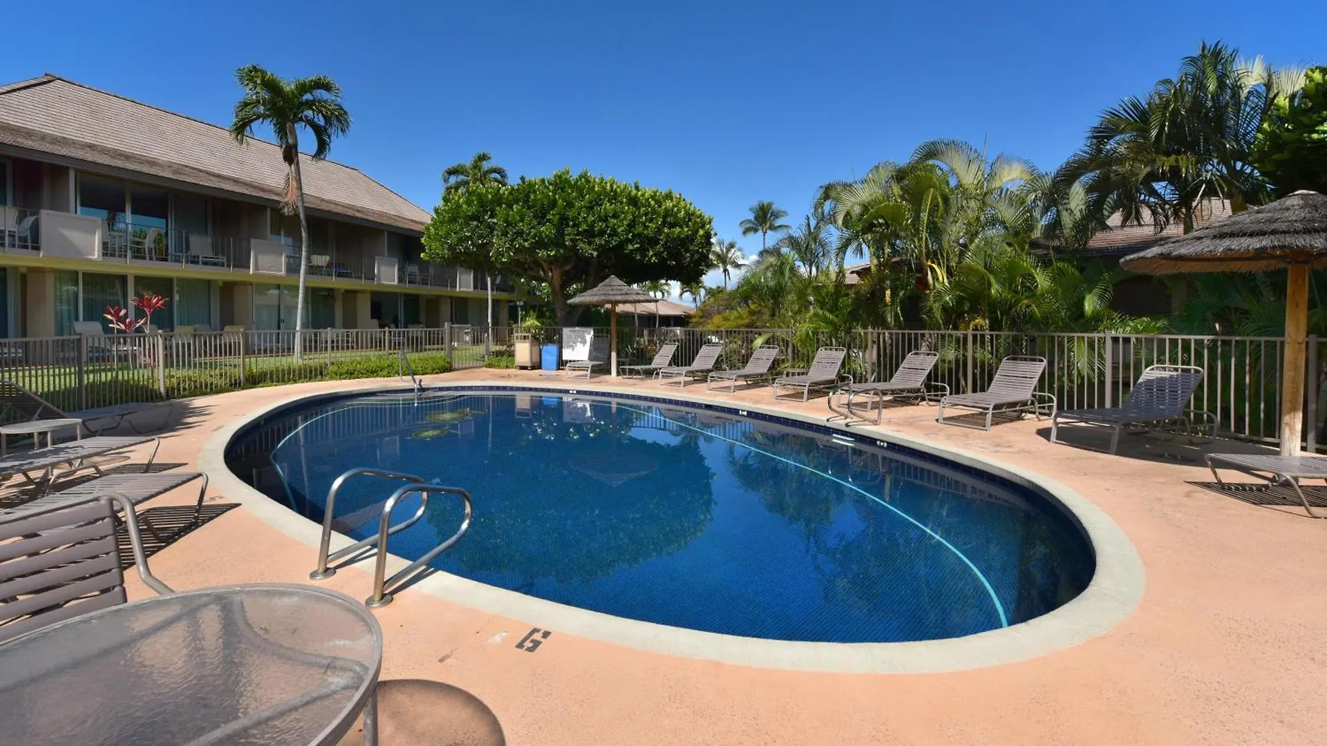 Apartment Eldorado J111