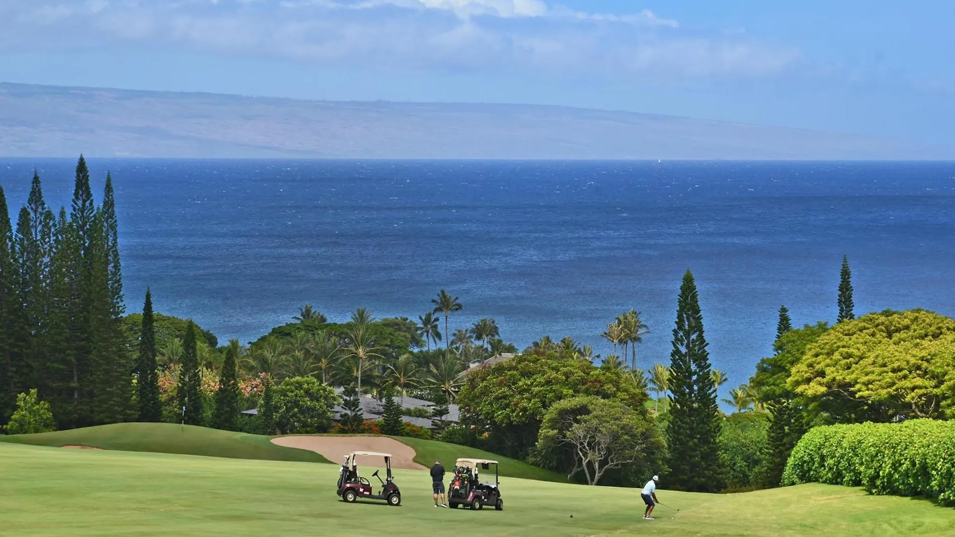 Holiday home Kapalua Ridge 1414 *