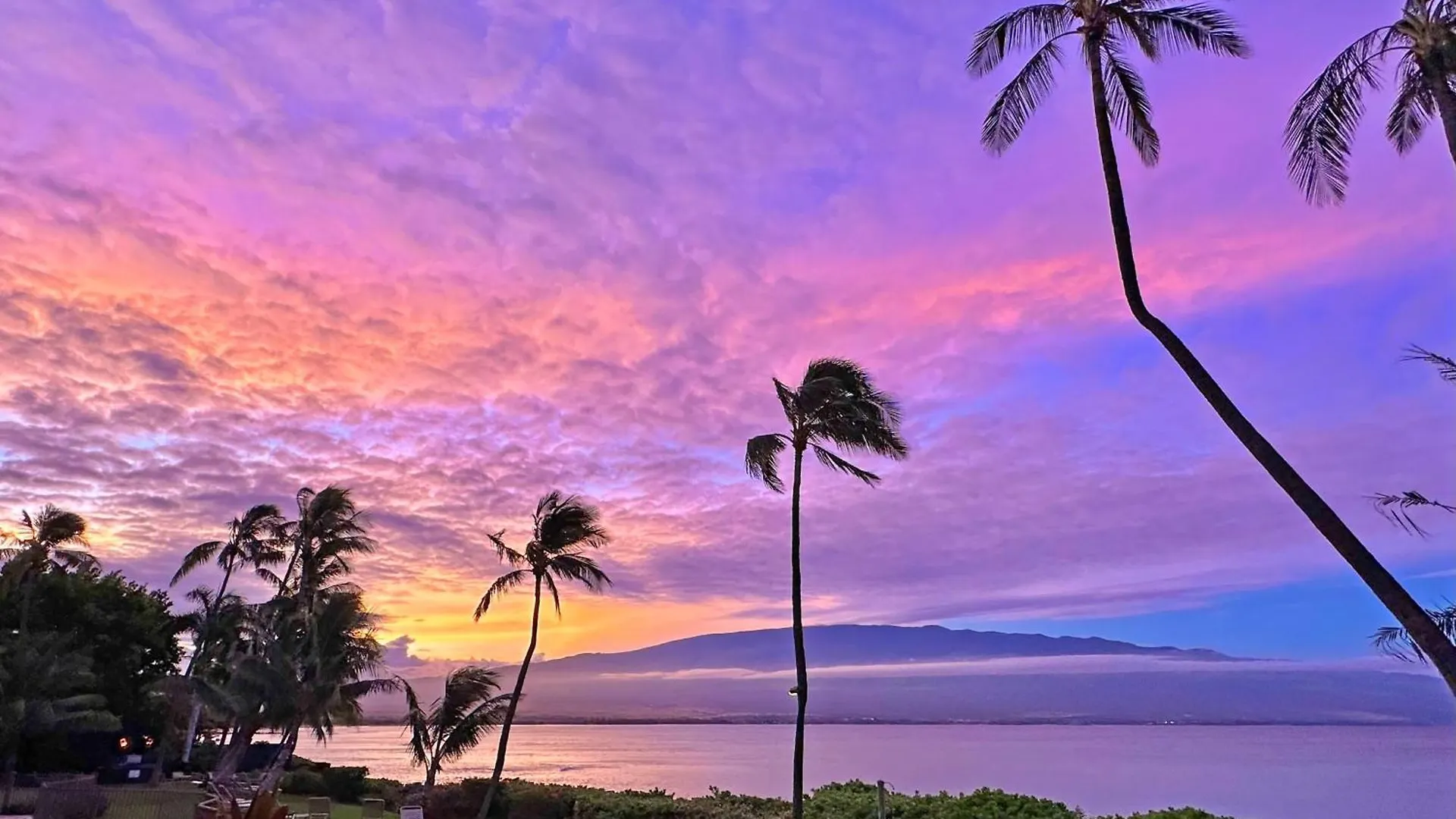 Banyans 113 Maalaea