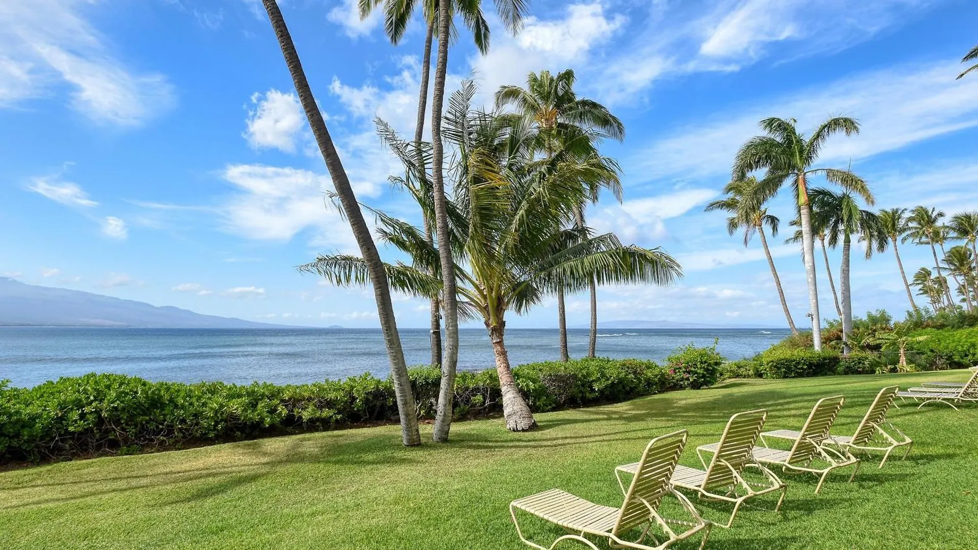 Banyans 113 * Maalaea