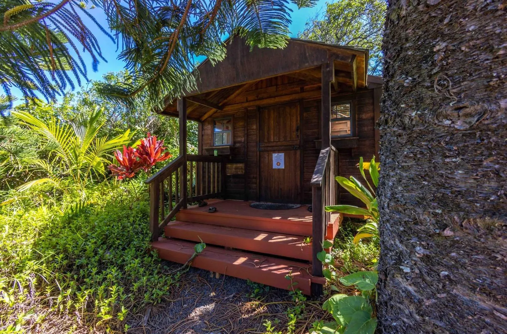 Gardenia On Tropical Lush Farm In Haiku, Maui Farm stay