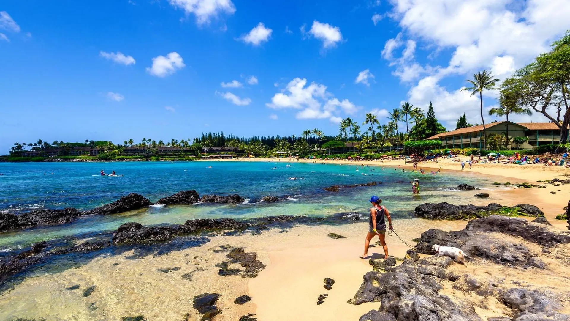 Daire Napili Point C-12 *