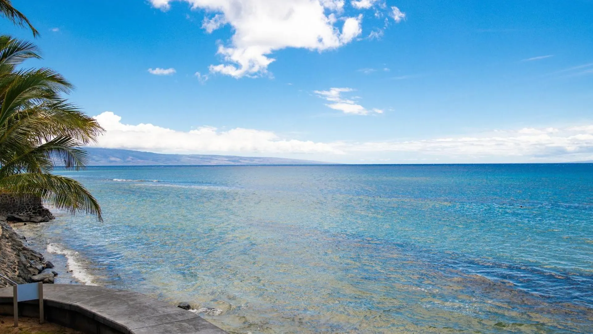 Maui Sands #5g *
