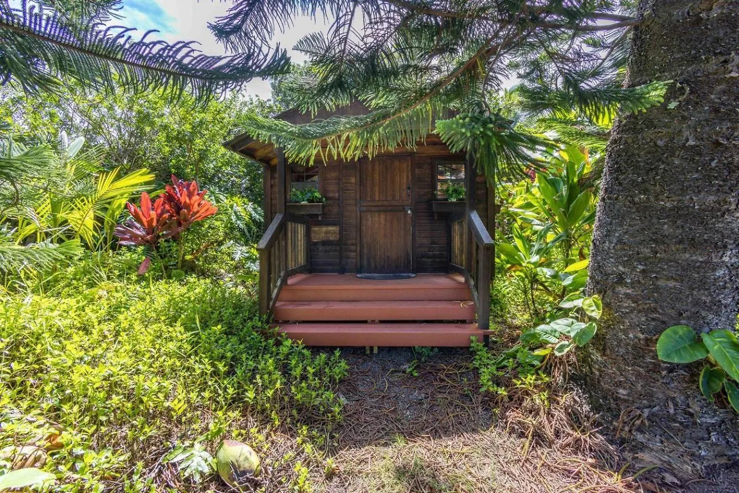 Chalet Jasmine On Lush Farm In Haiku, Maui Jungle
