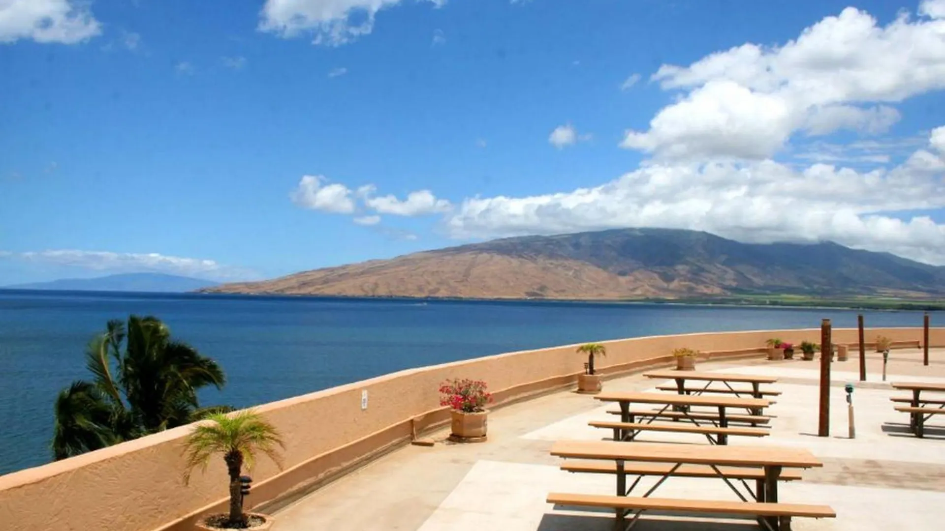Apartment Menehune Shores #423 Kihei