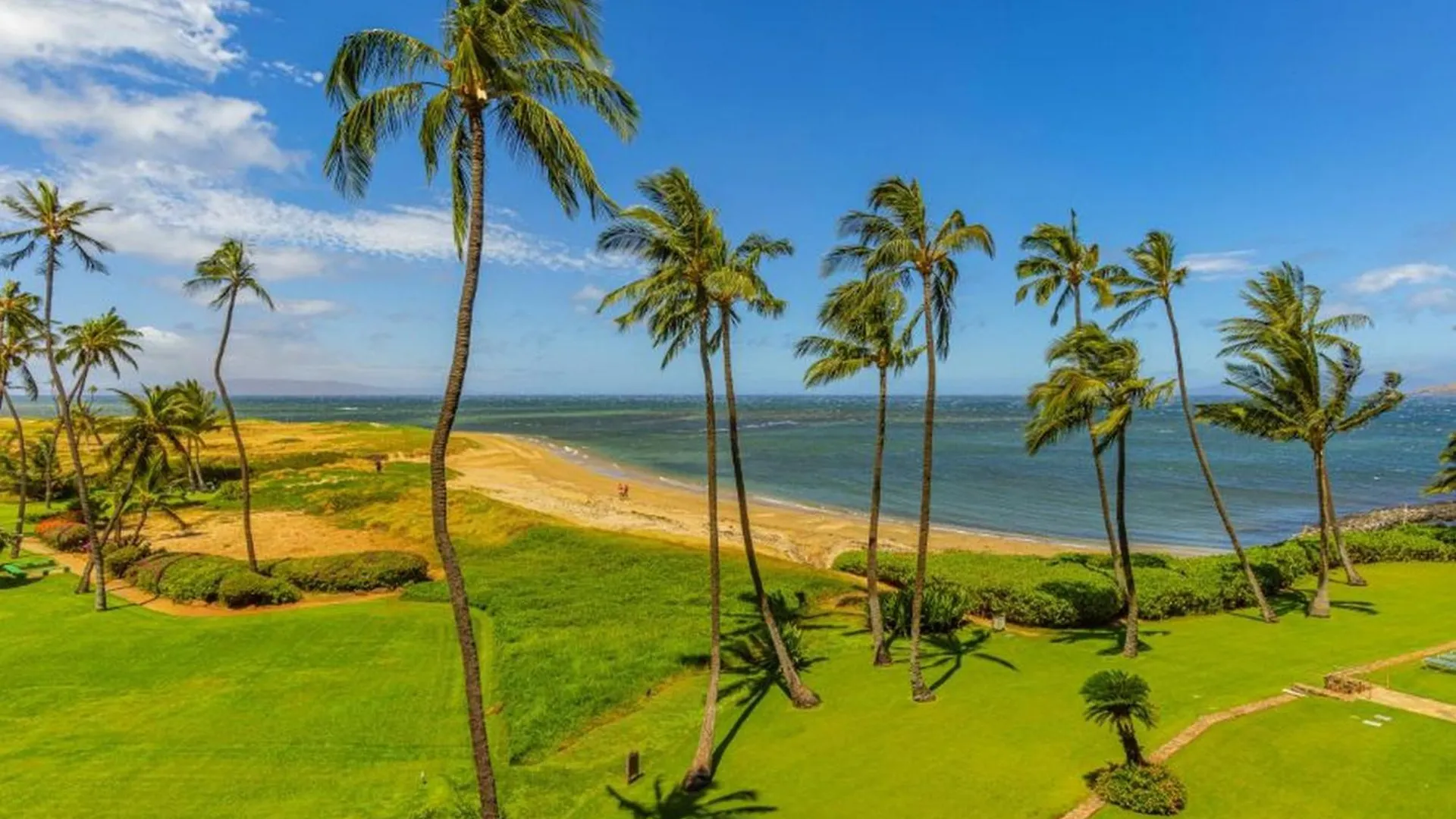 Apartment Menehune Shores #423 Kihei