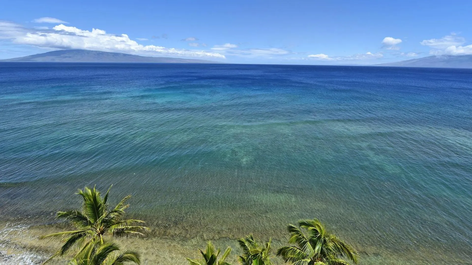 Mahana #1205 Kahana