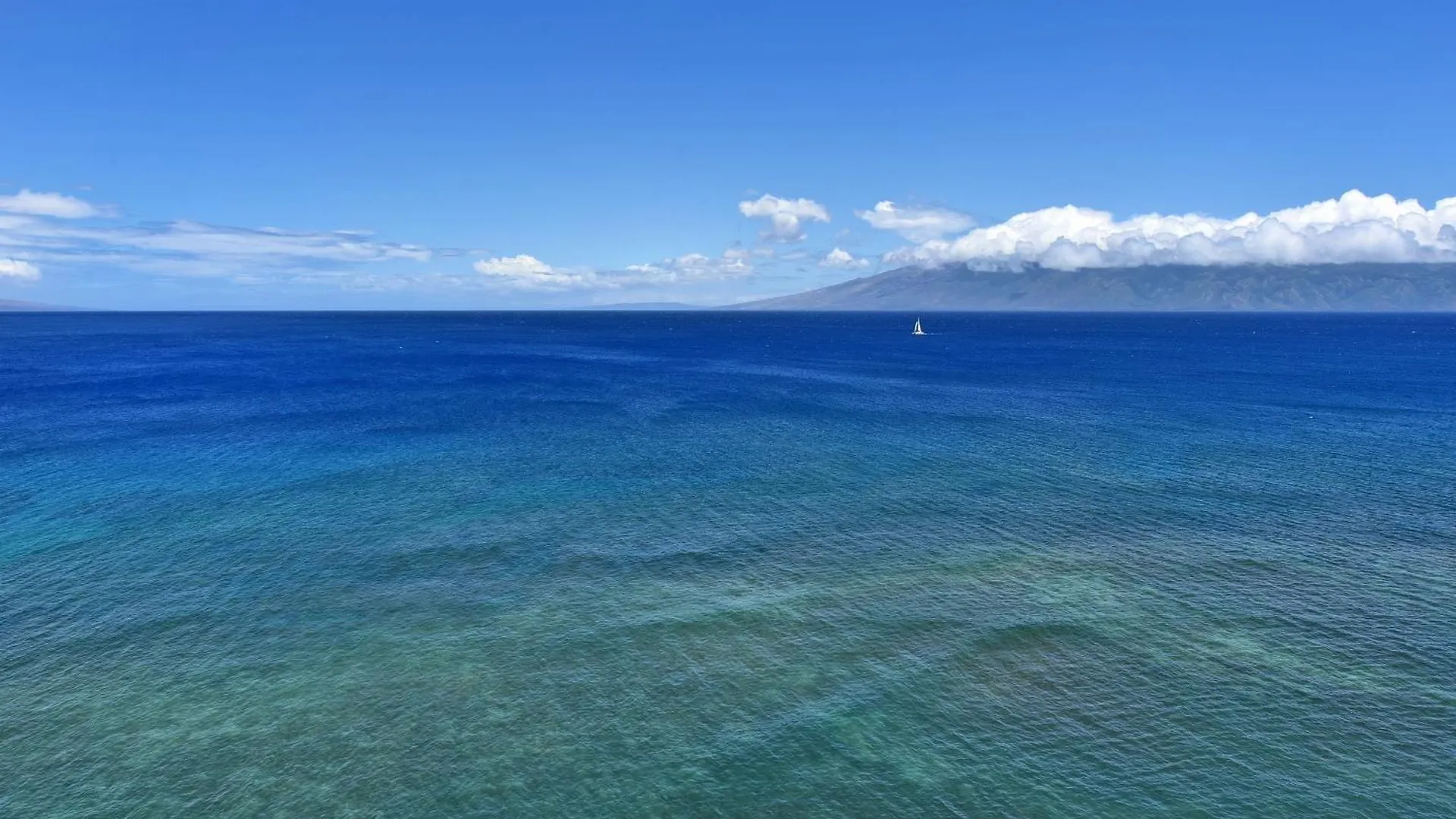 Mahana #1205 Kahana