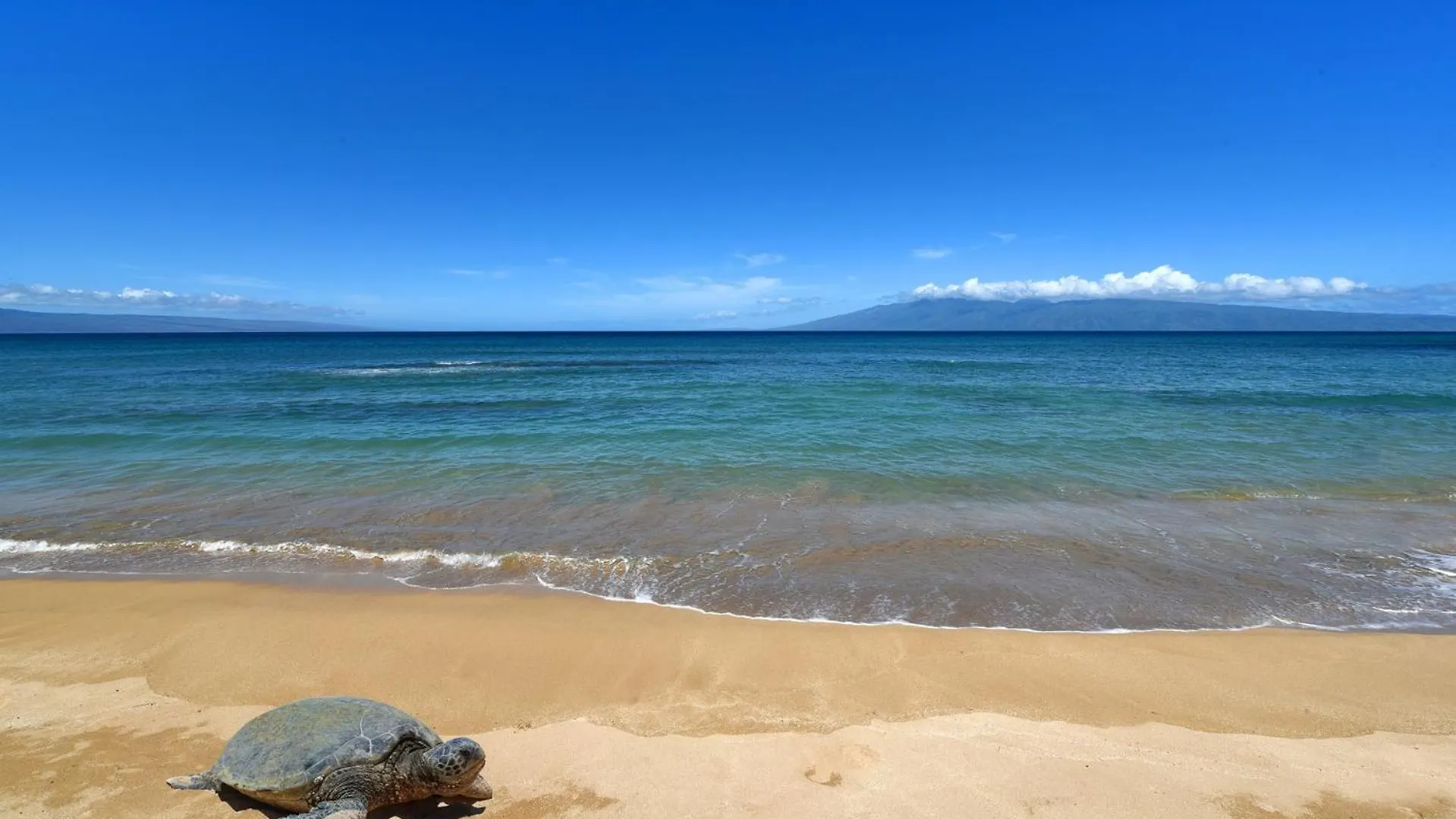 Makani Sands #102 Apartment *