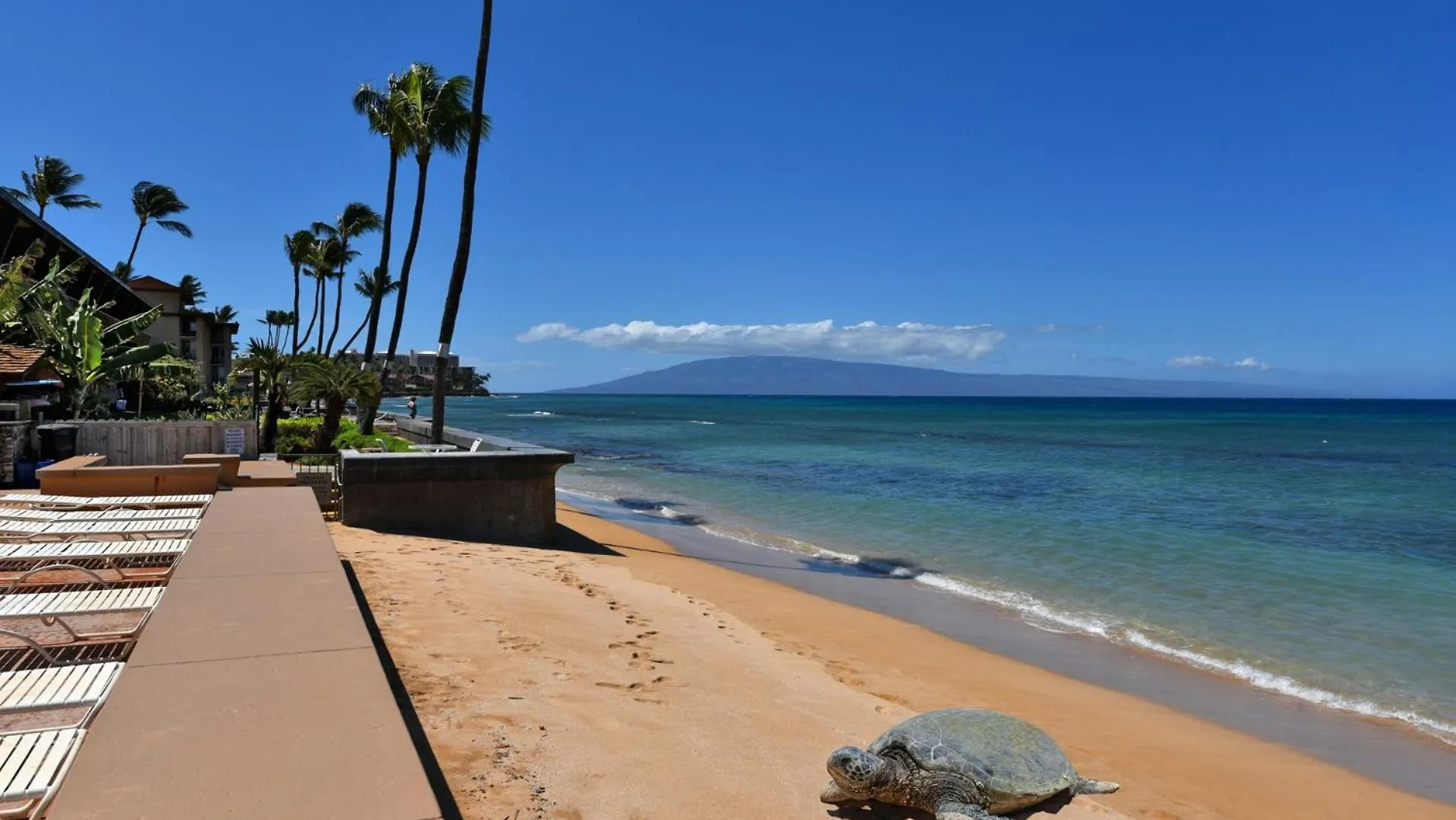 Apartment Makani Sands #102 Kahana