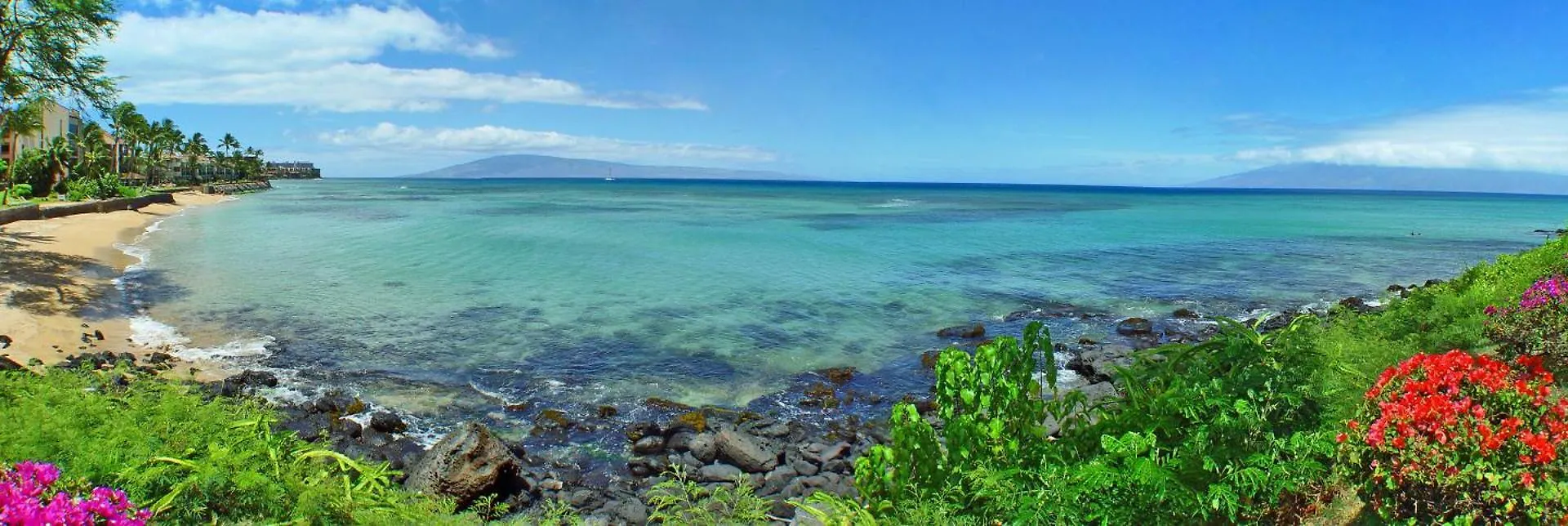 Kuleana #206 *