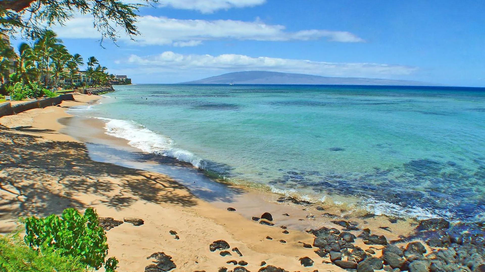 Kuleana #206 Kahana