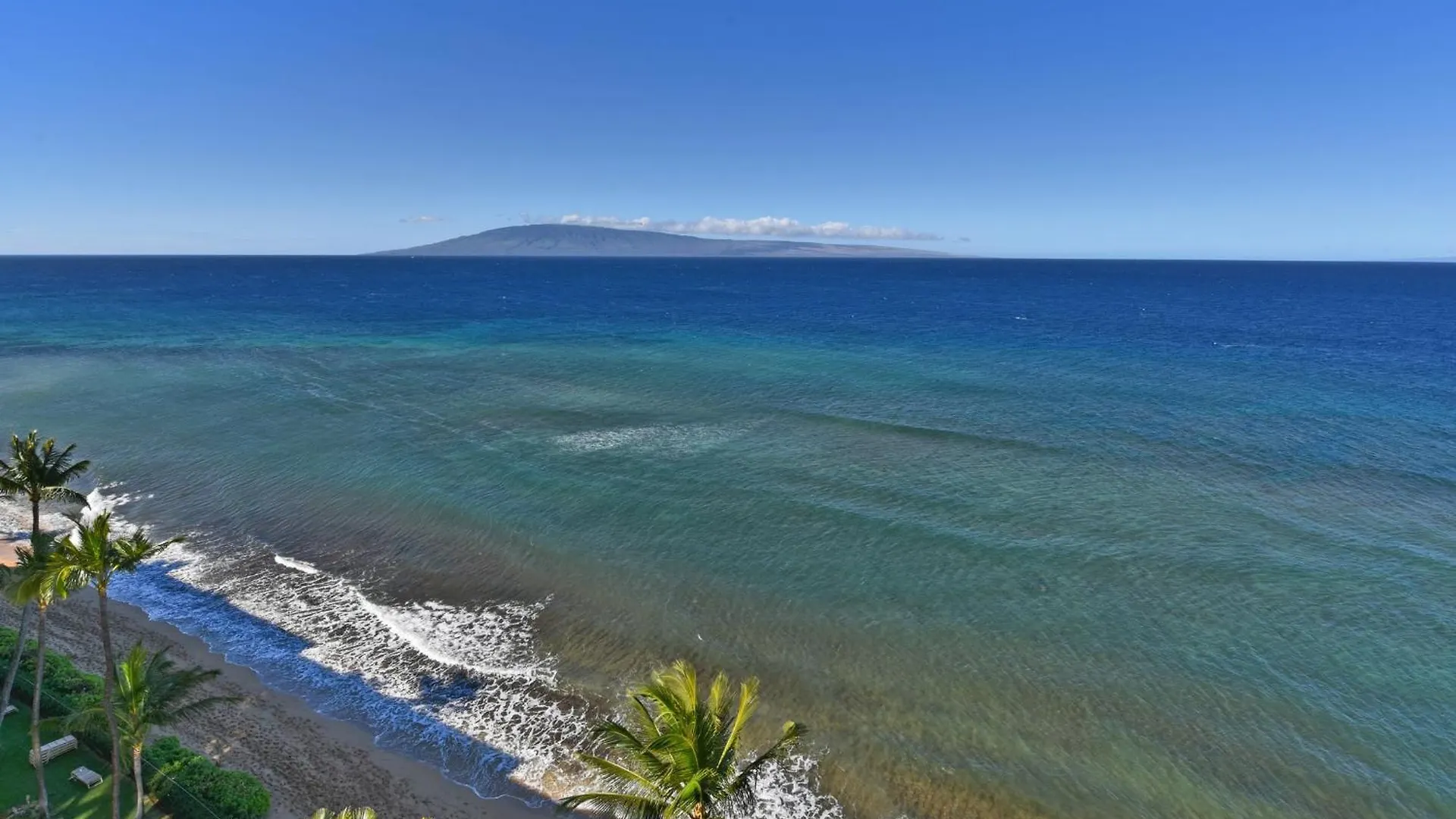 Mahana #1204 Daire
