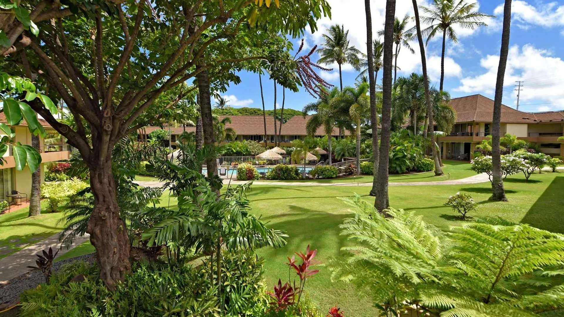 Maui Kaanapali #b233 Appartement *