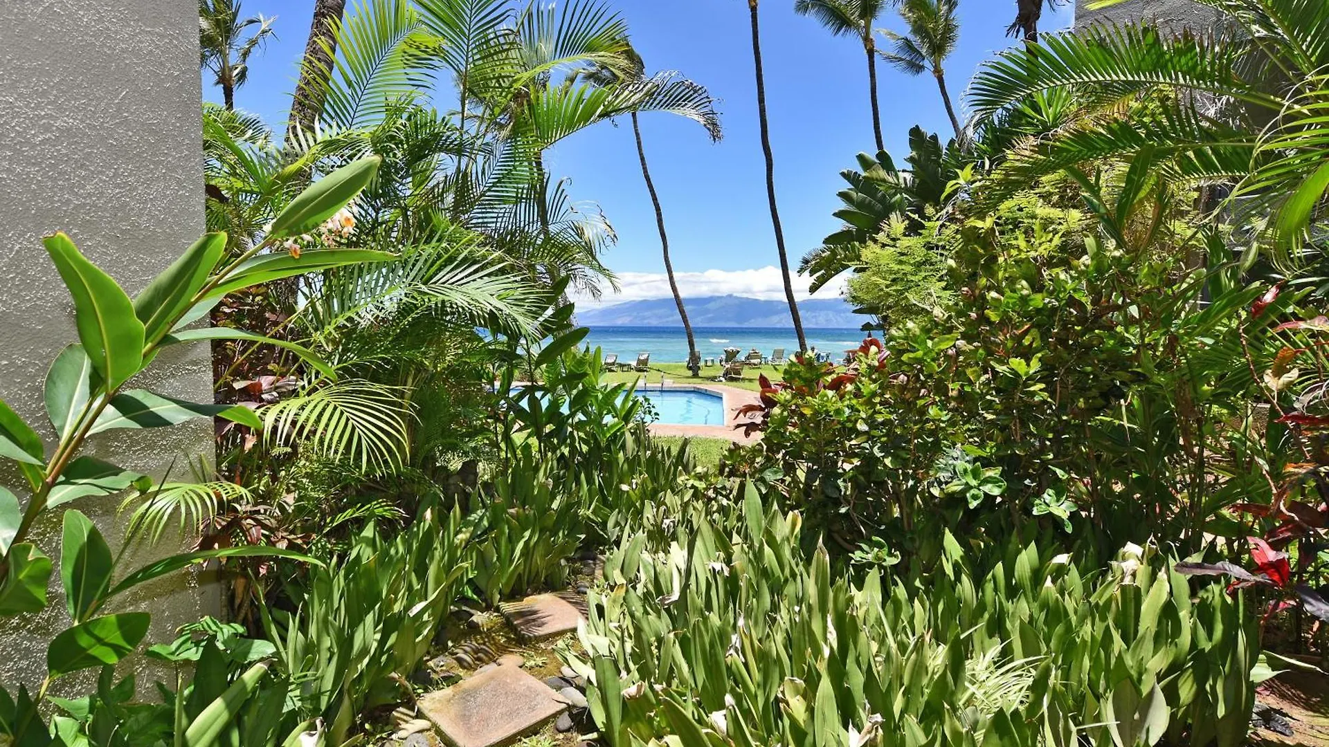 Hale Mahina #b102 *