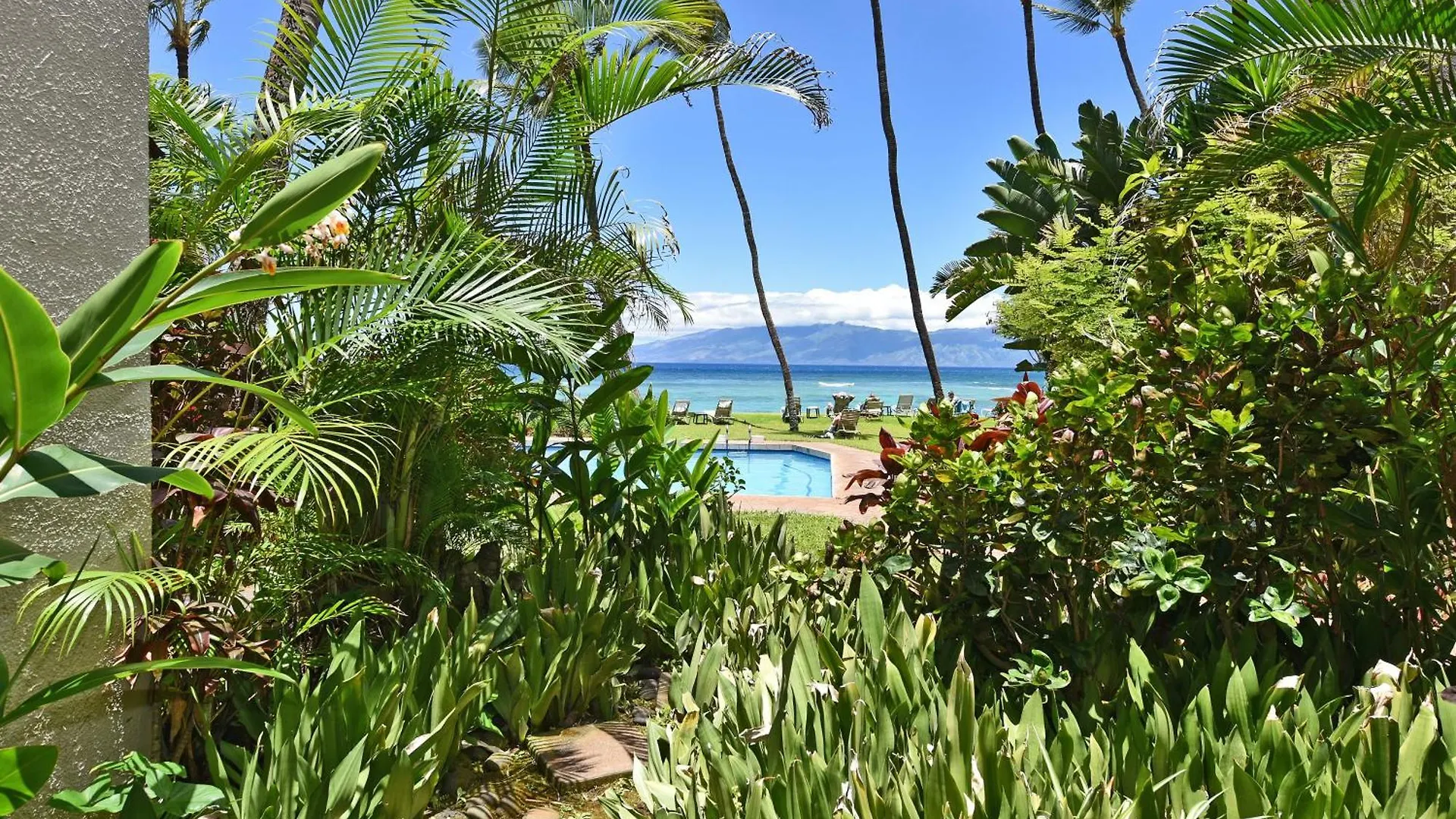 Hale Mahina #b102 *