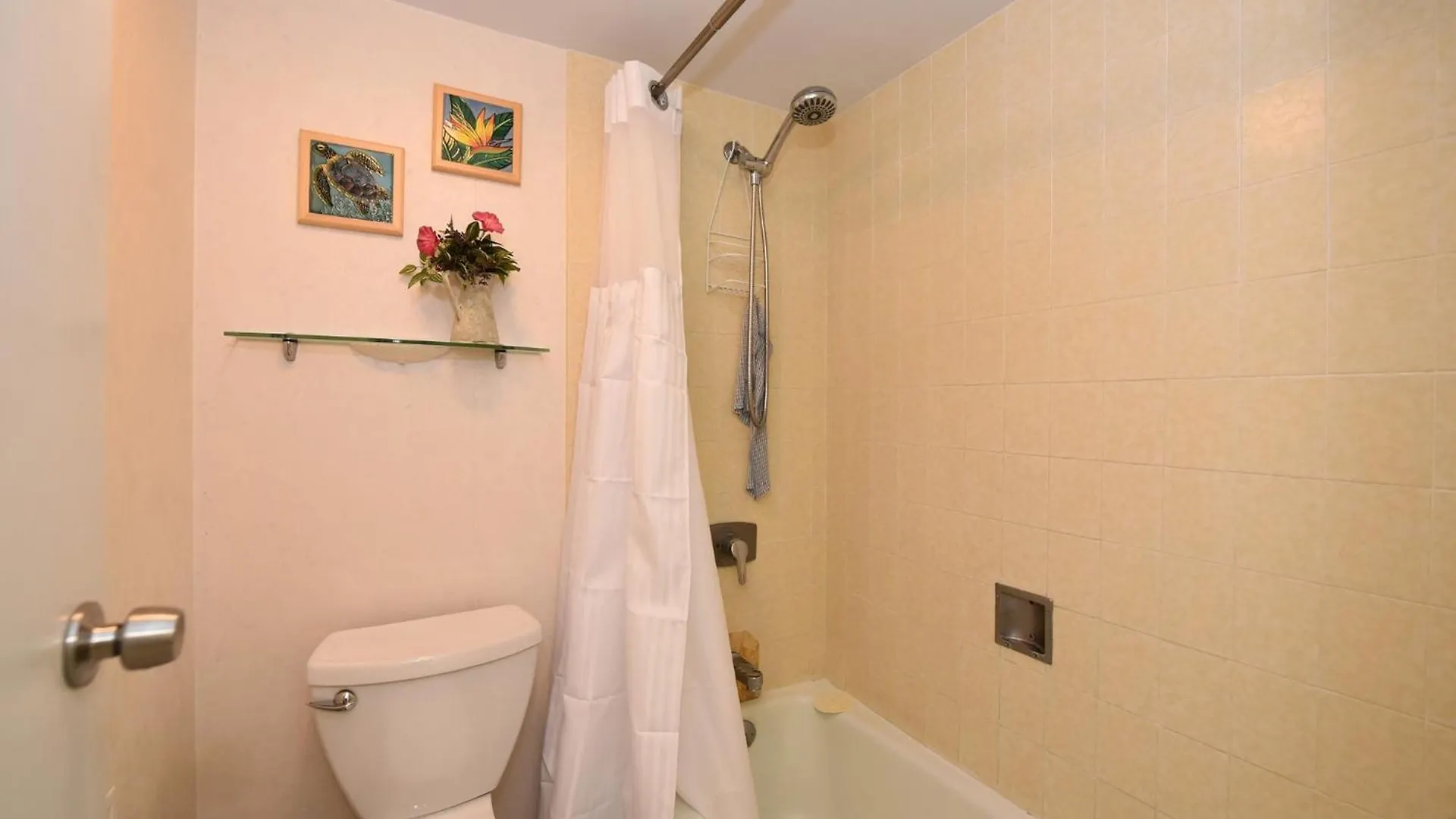 Apartmán Valley Isle 905 Kahana