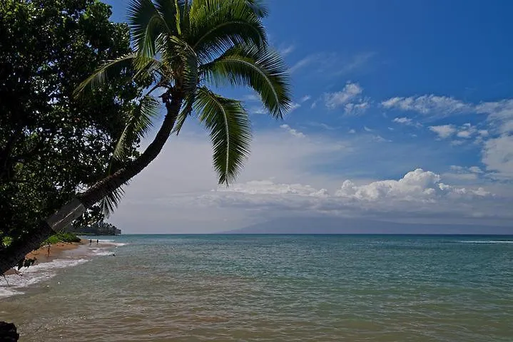 Pohailani #102 * Kahana