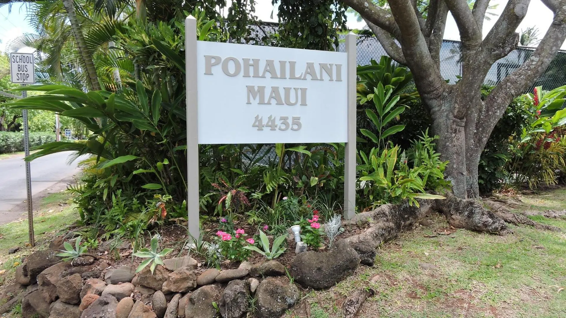 Pohailani #102