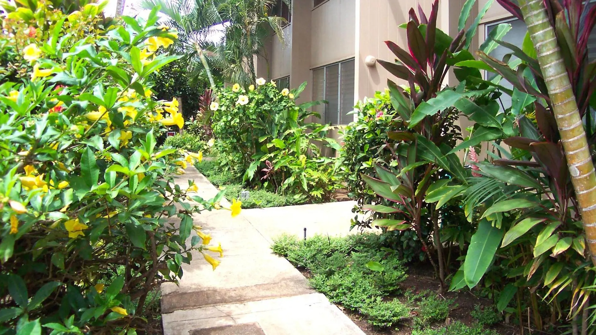 Pikake Unit A6 Apartment *