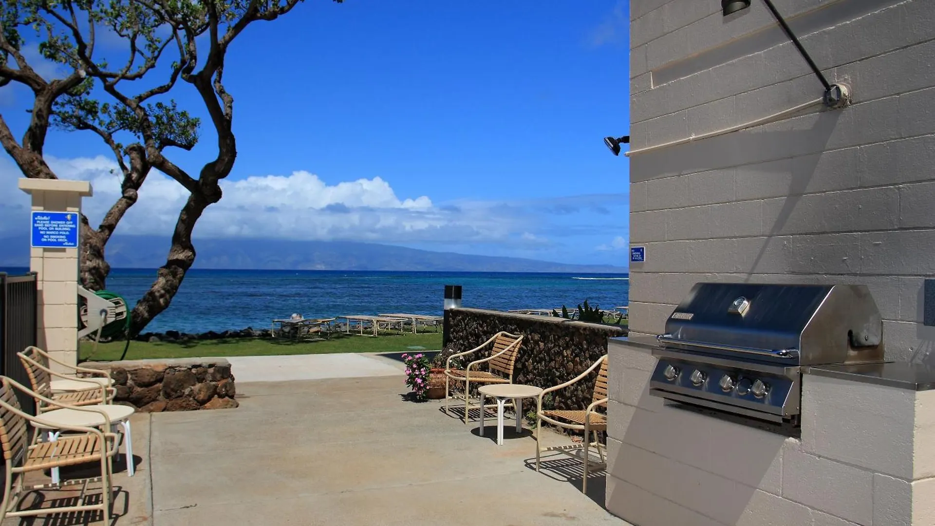 Reef #402 *