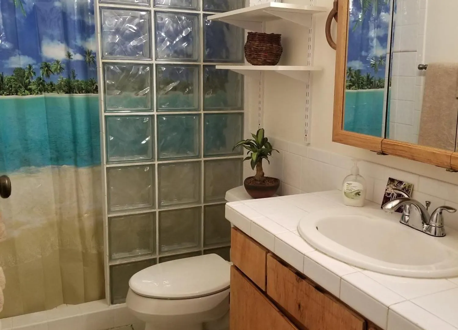 Maui Diver's Dream At Bay Surf *