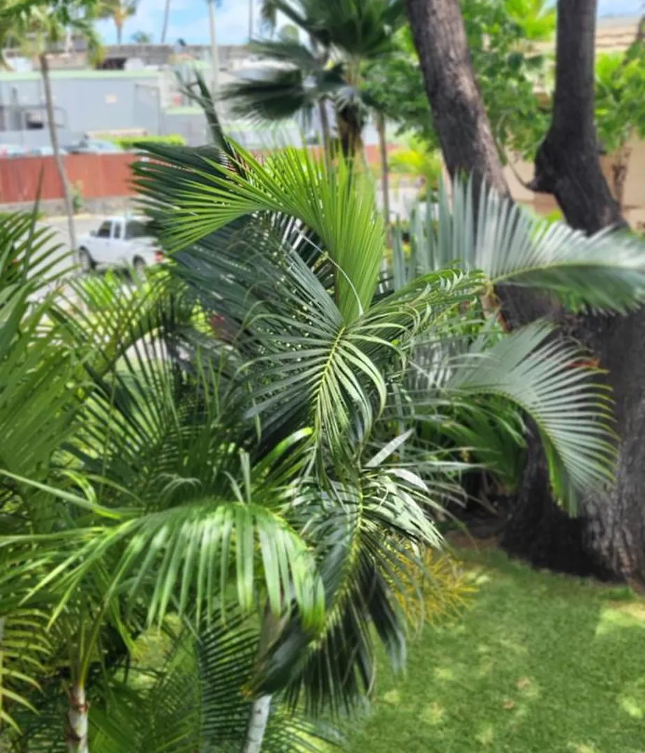 Apartment Kai Nani Kihei