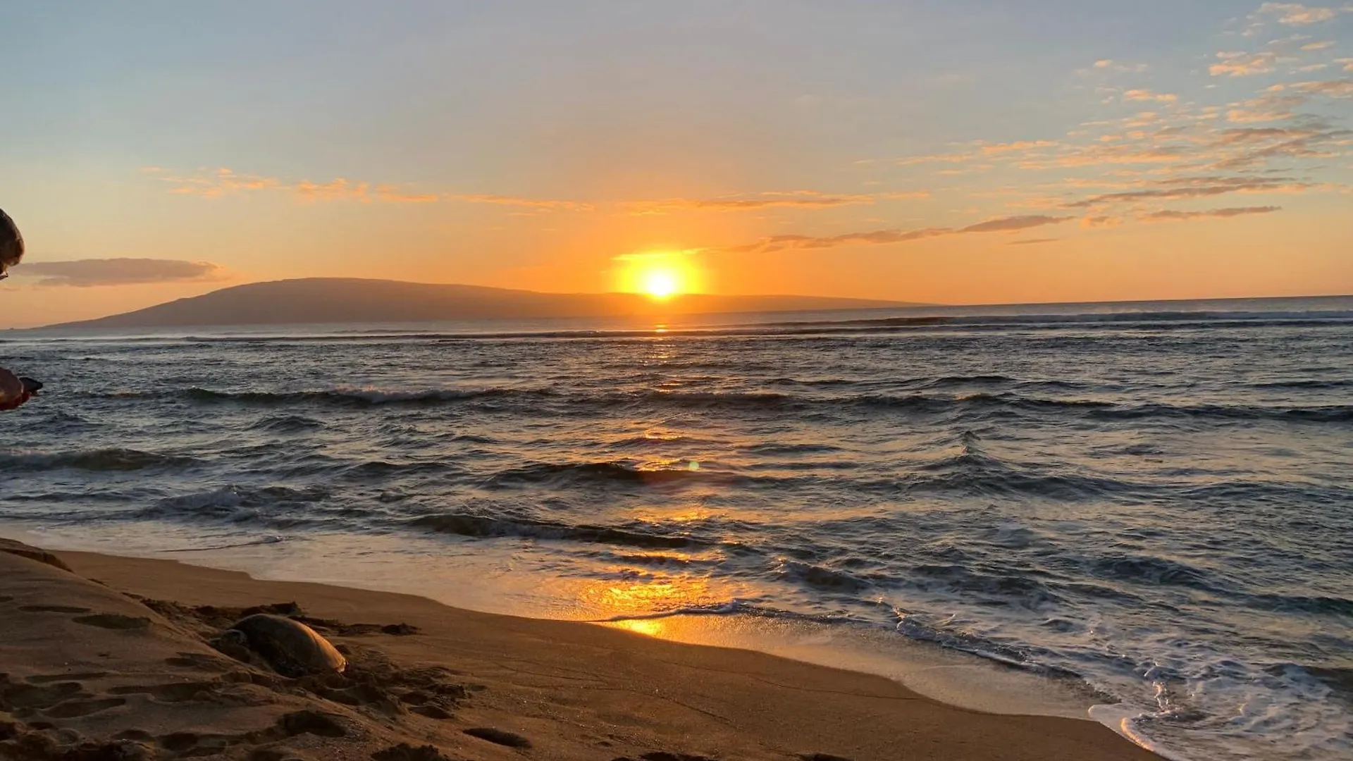 Hale Mahina A102