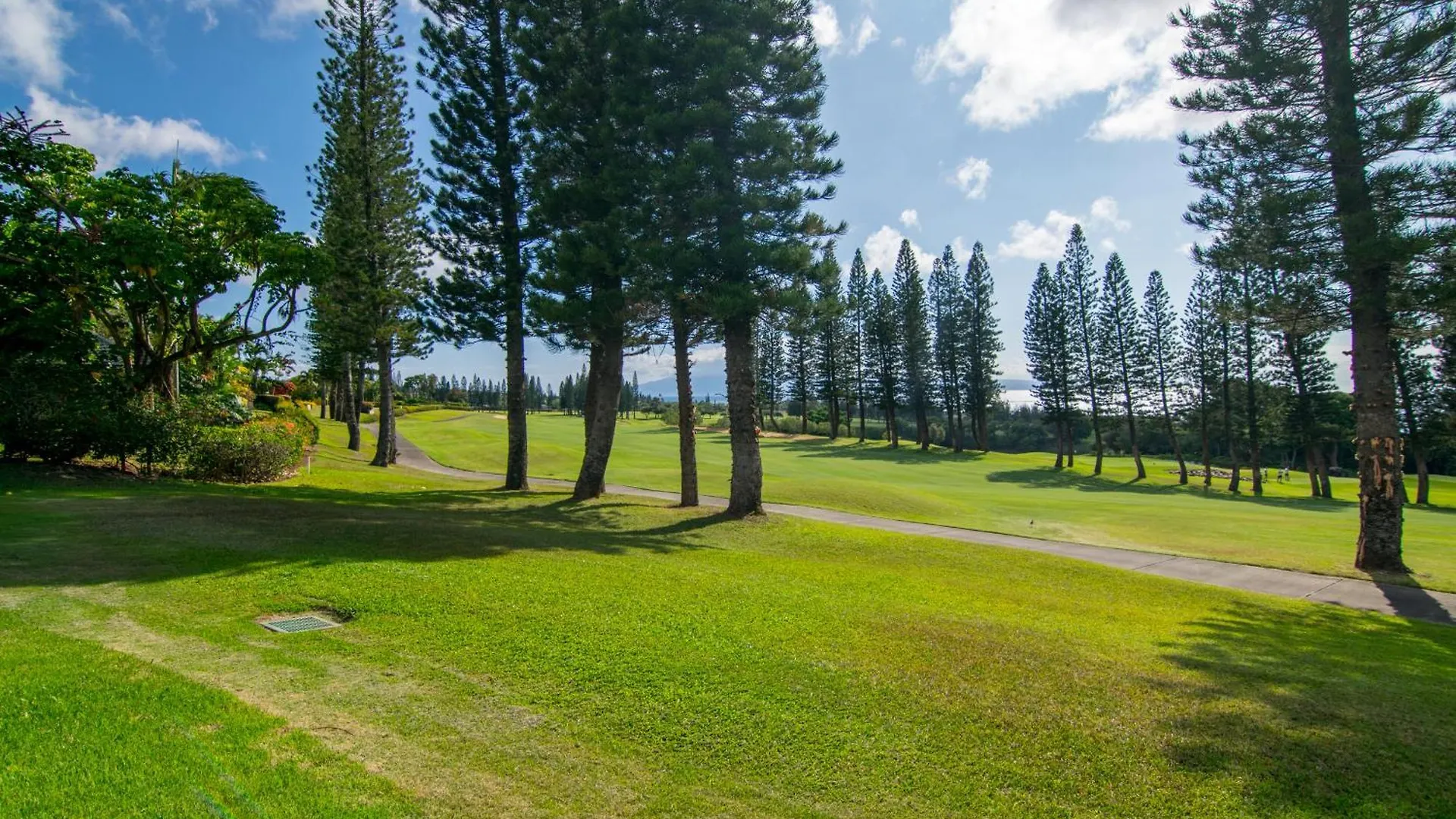 Kapalua Maui Daire Lahaina