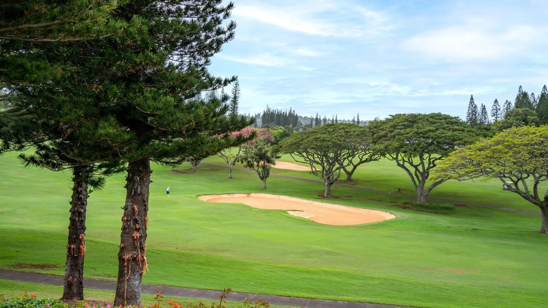 Daire Kapalua Maui *