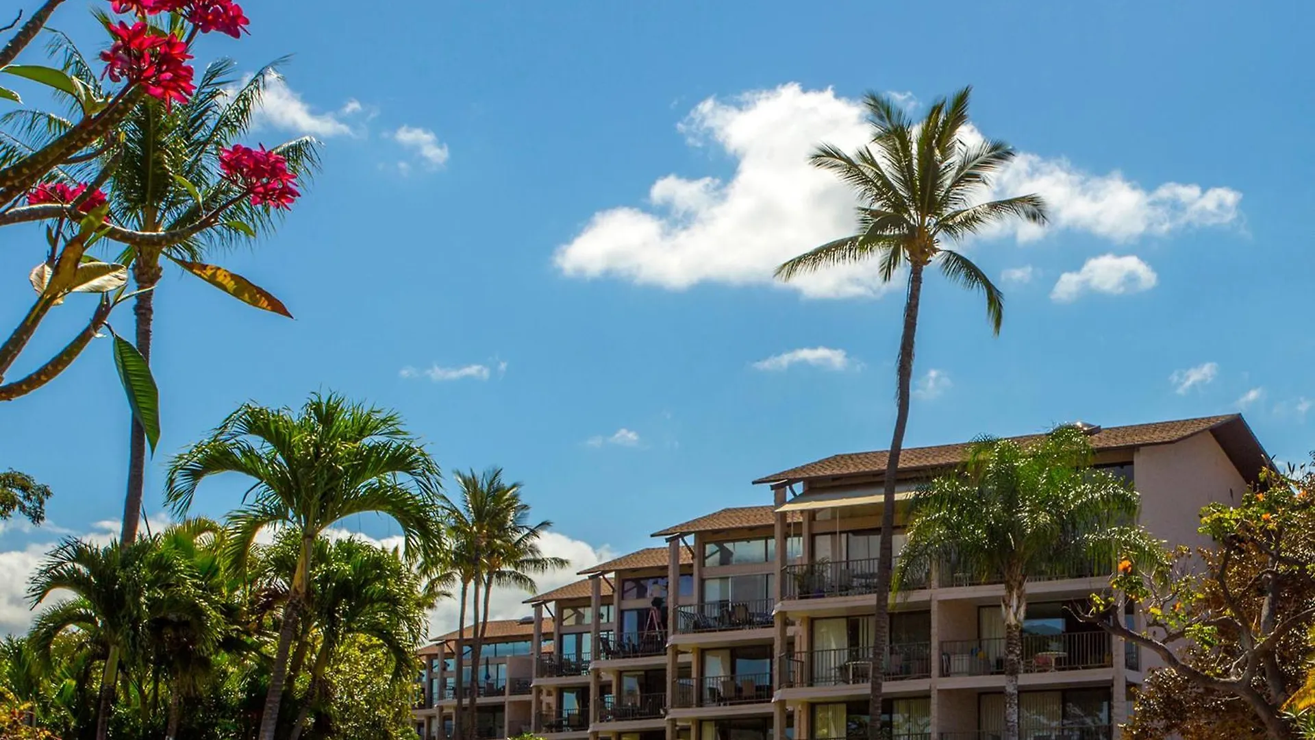Ocean View Unit At Alii Kai Close To *